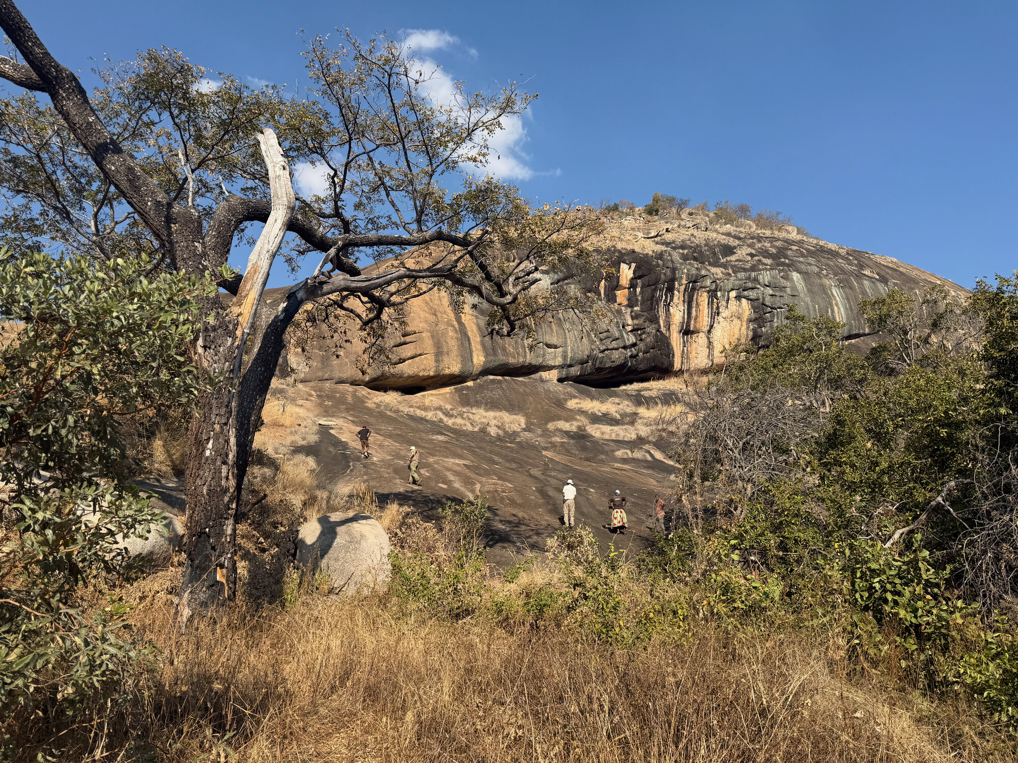 Chikupu Community Site - 2026-7-14_006