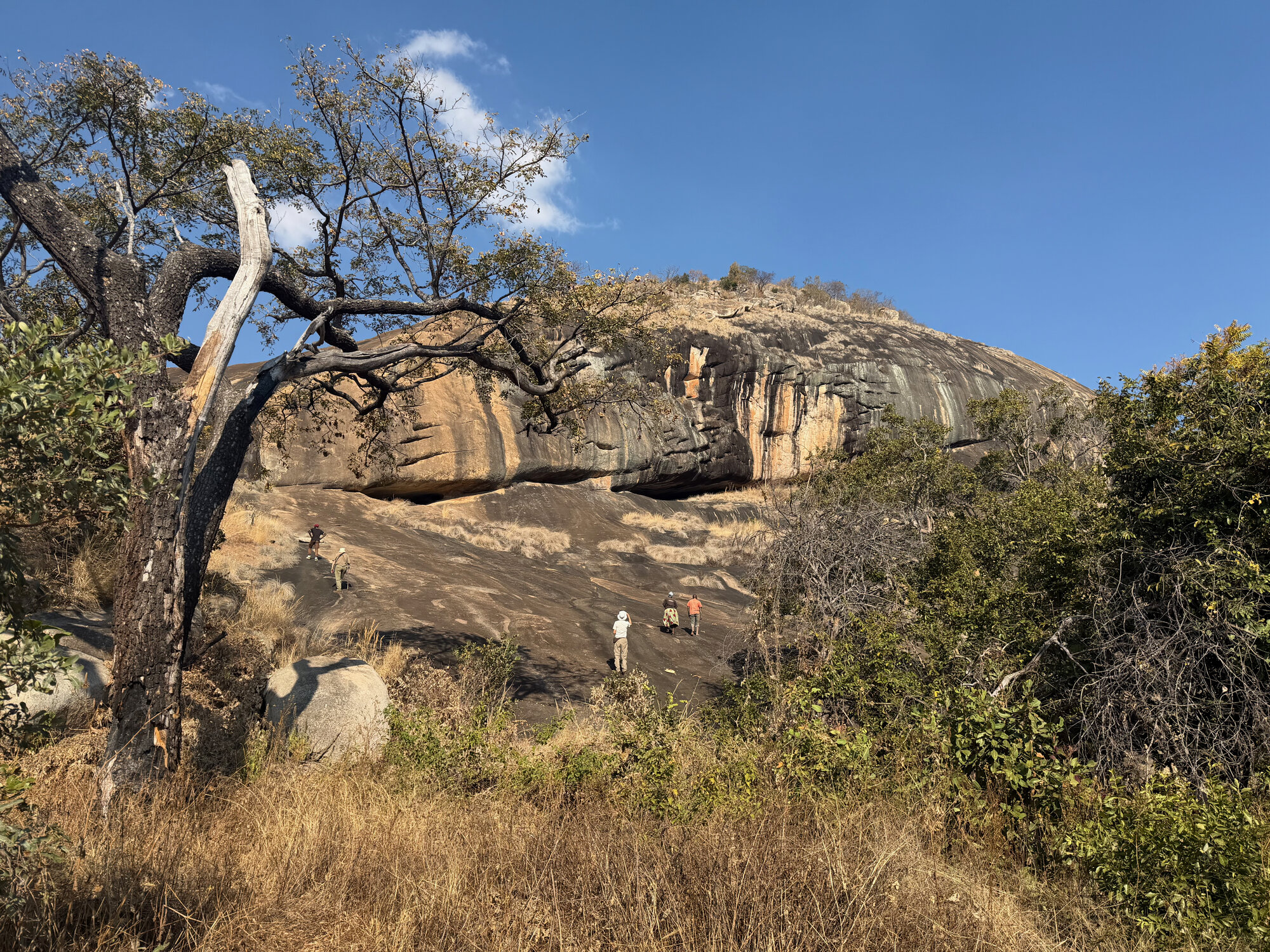 Chikupu Community Site - 2026-7-14_008