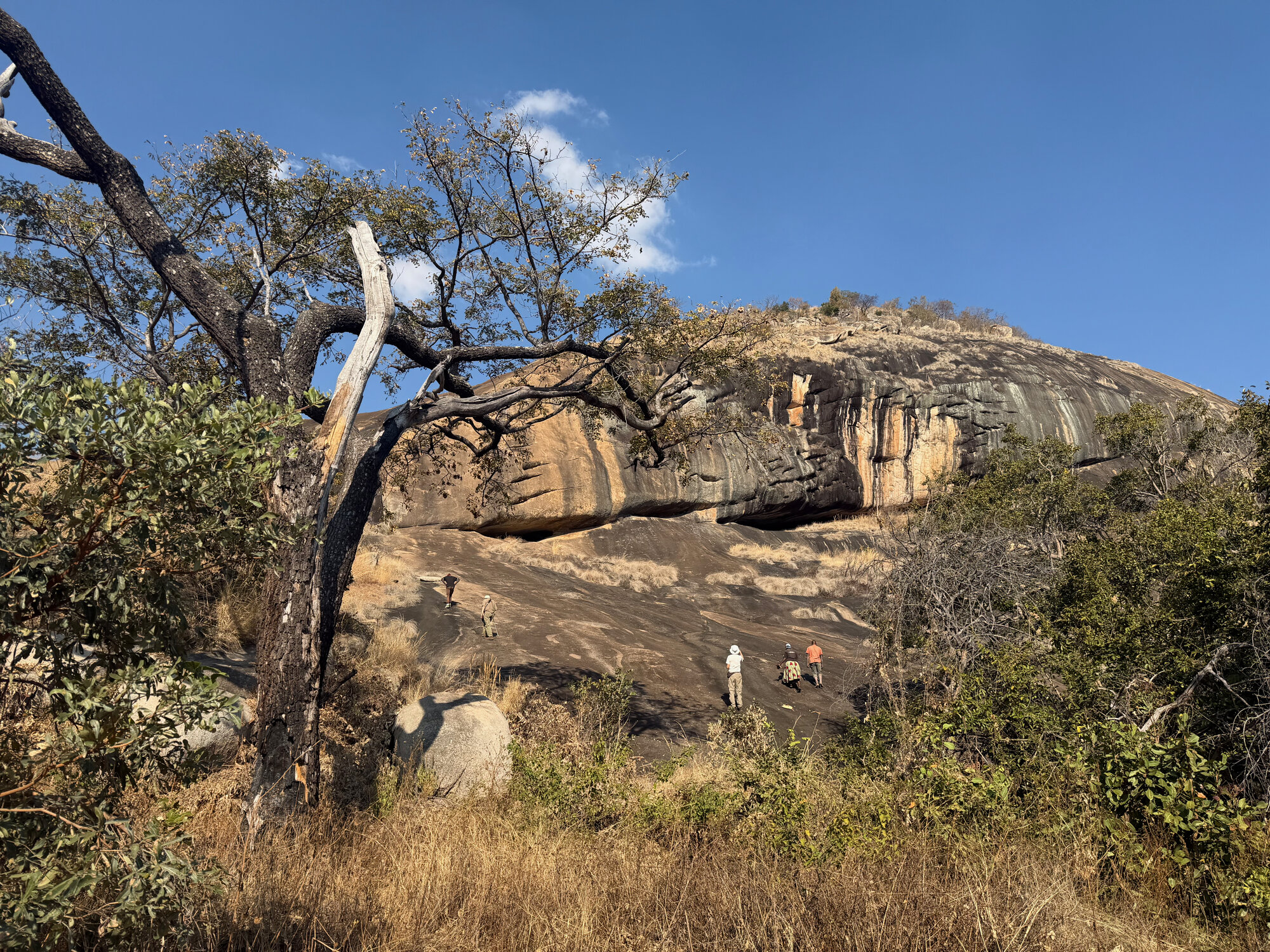 Chikupu Community Site - 2026-7-14_007