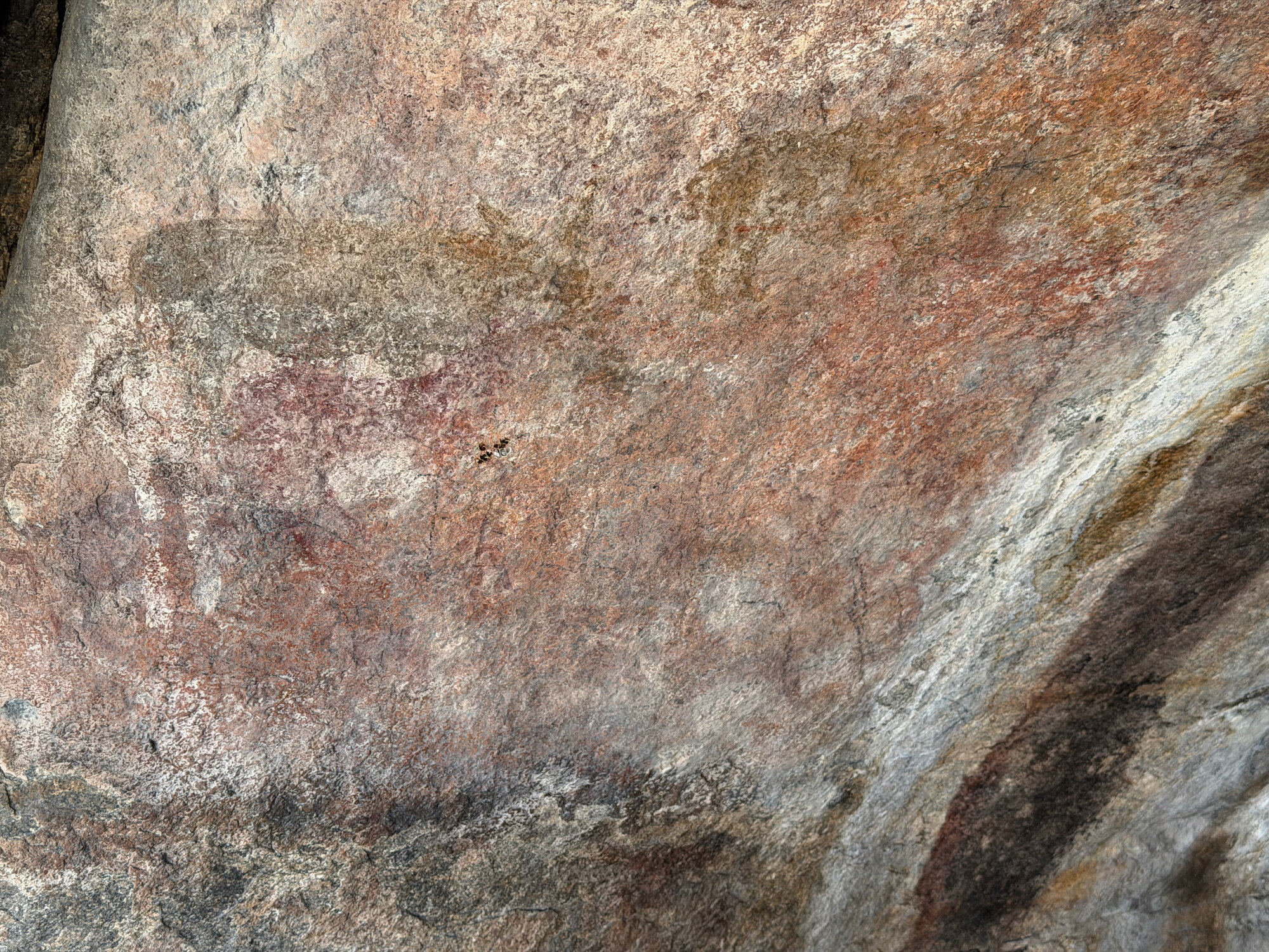 Chikupu Community Site - 2026-7-14_010