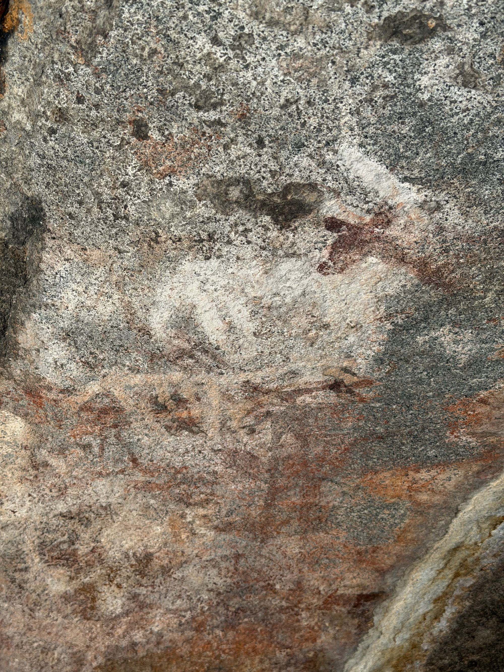 Chikupu Community Site - 2026-7-14_011