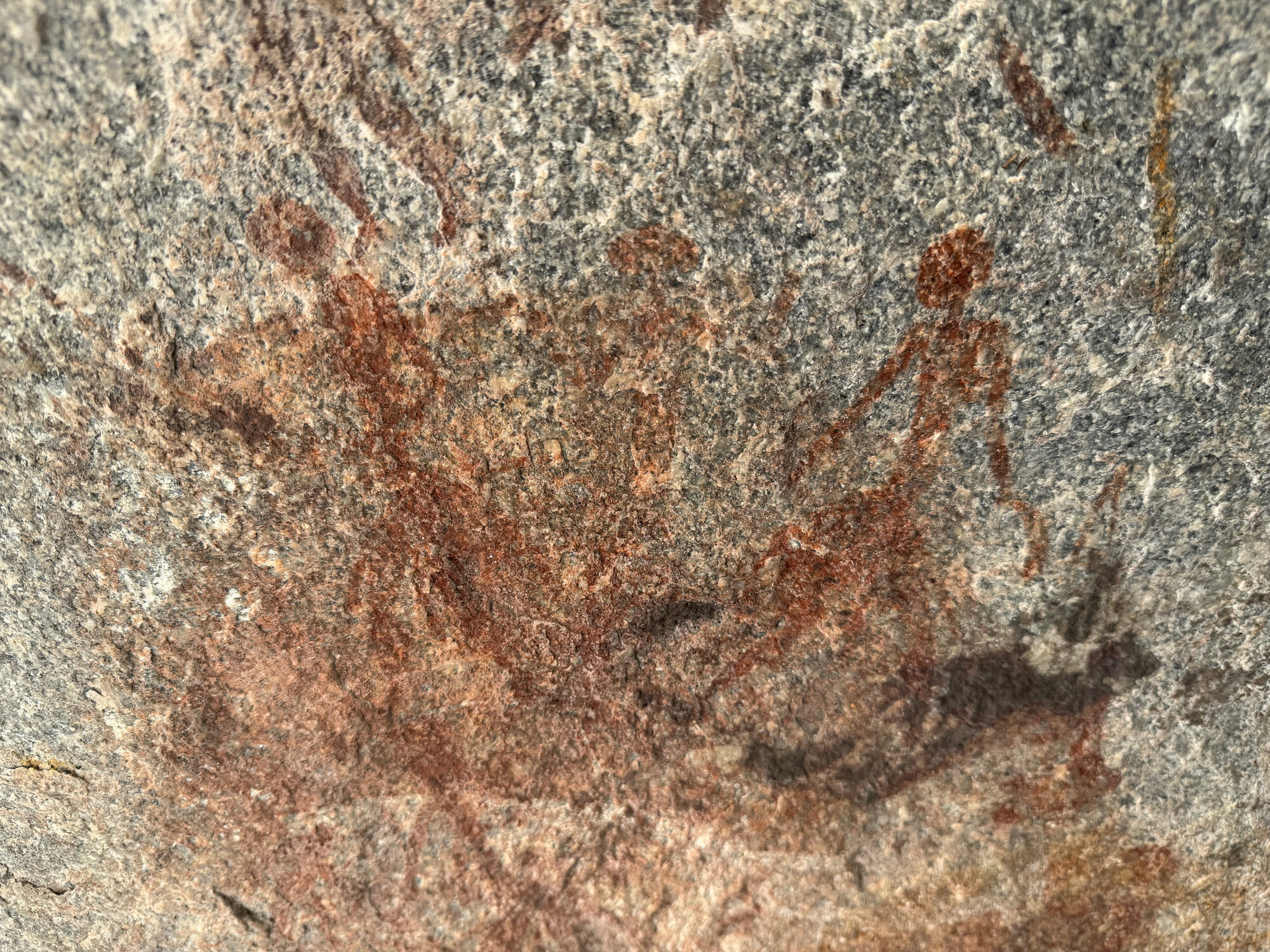 Chikupu Community Site - 2026-7-14_013