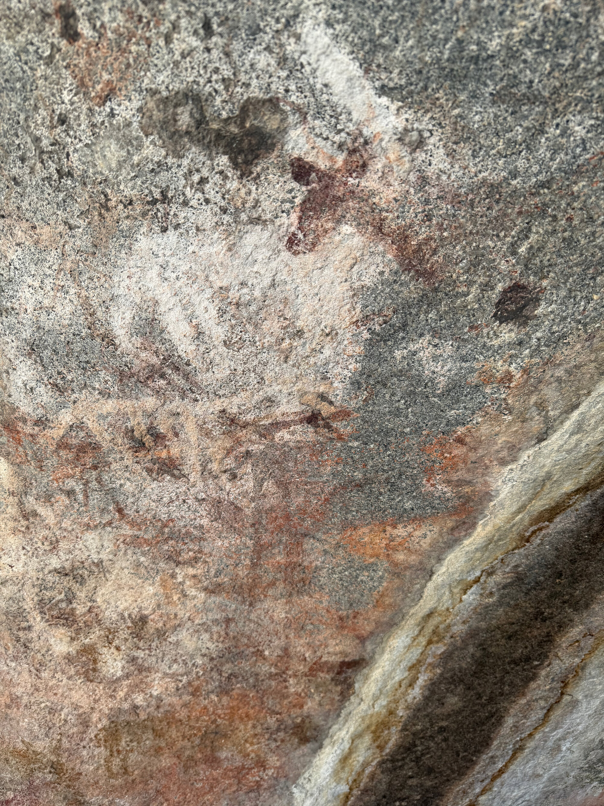 Chikupu Community Site - 2026-7-14_012