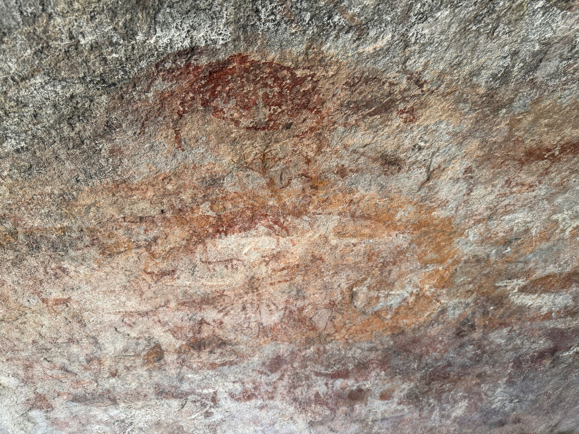Chikupu Community Site - 2026-7-14_019
