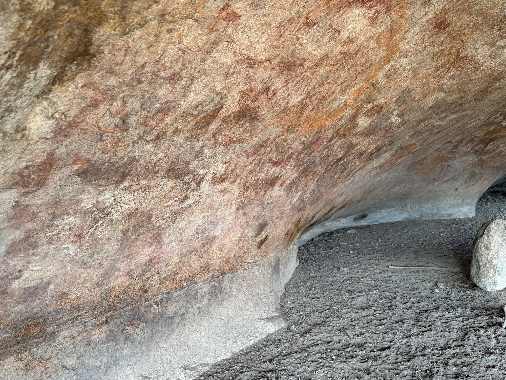 Chikupu Community Site - 2026-7-14_017