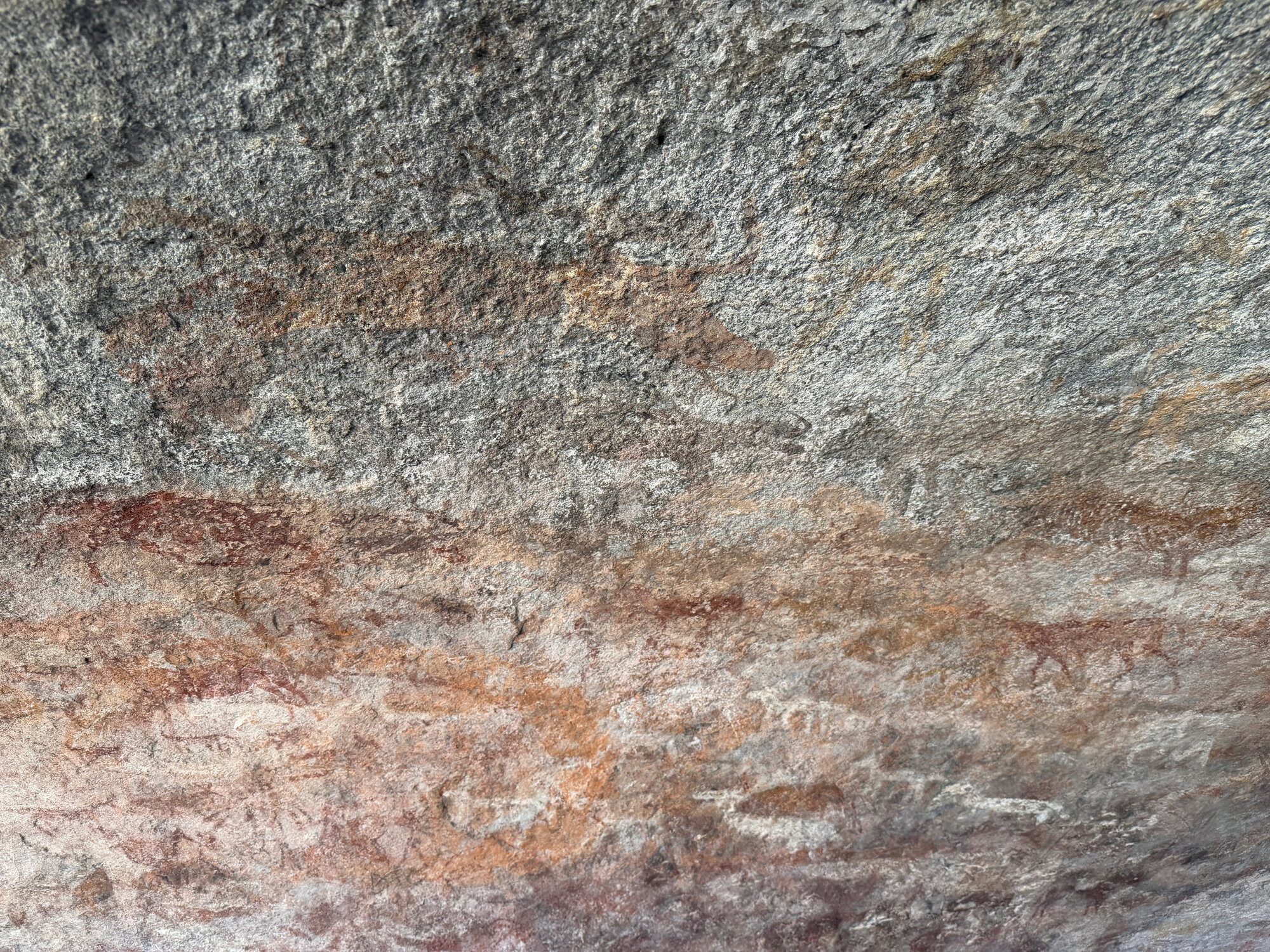 Chikupu Community Site - 2026-7-14_020