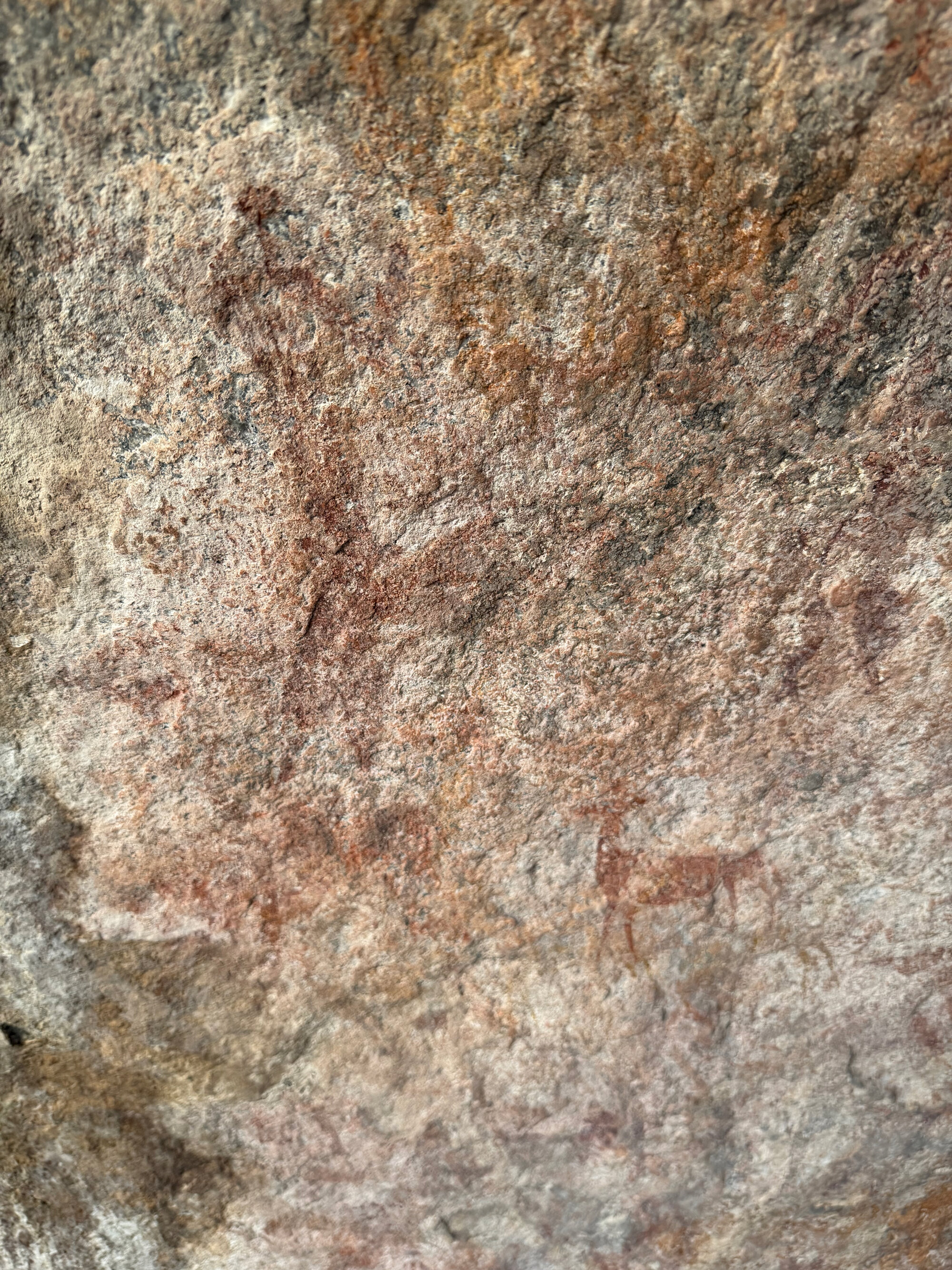 Chikupu Community Site - 2026-7-14_018
