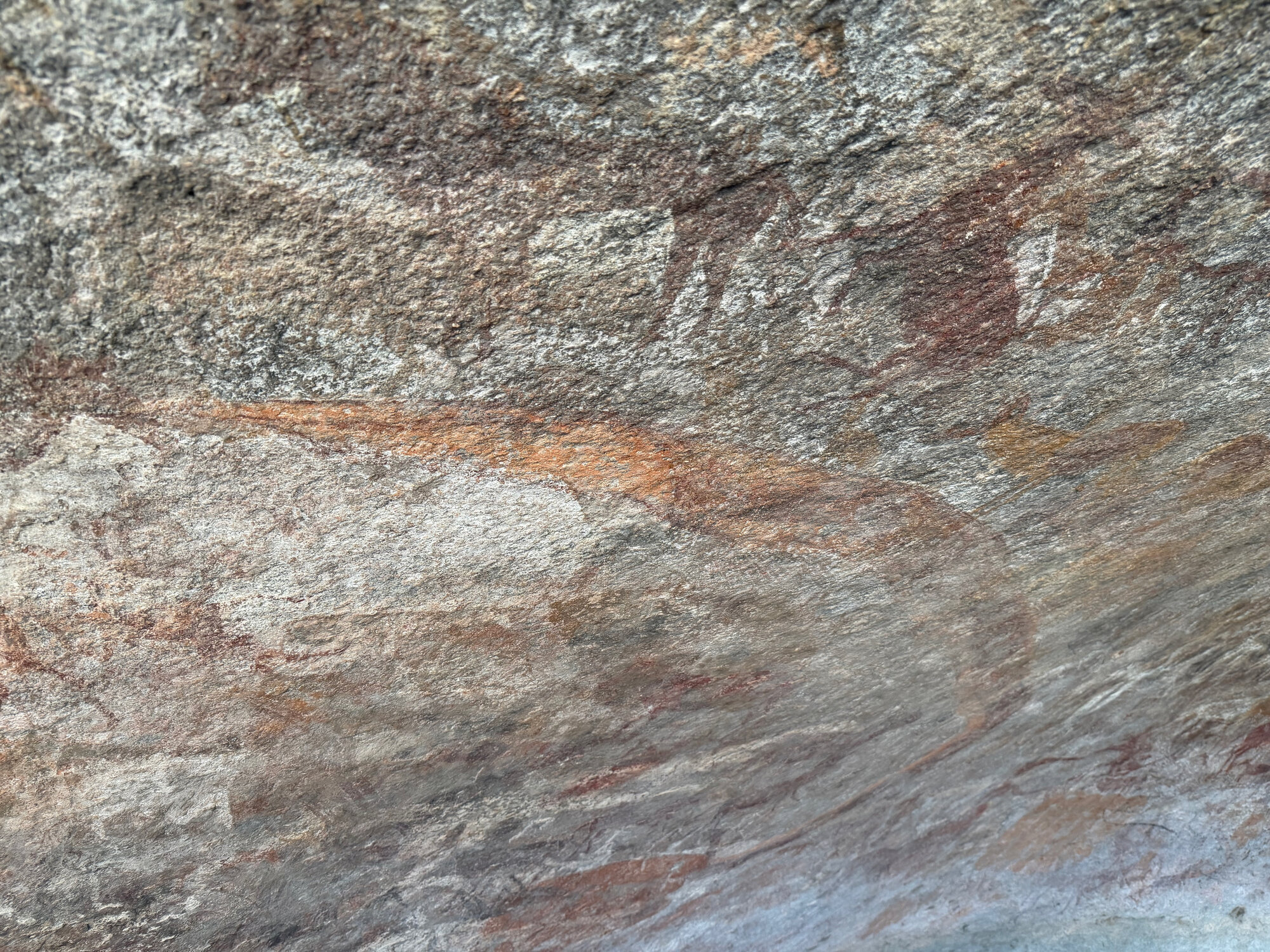 Chikupu Community Site - 2026-7-14_021