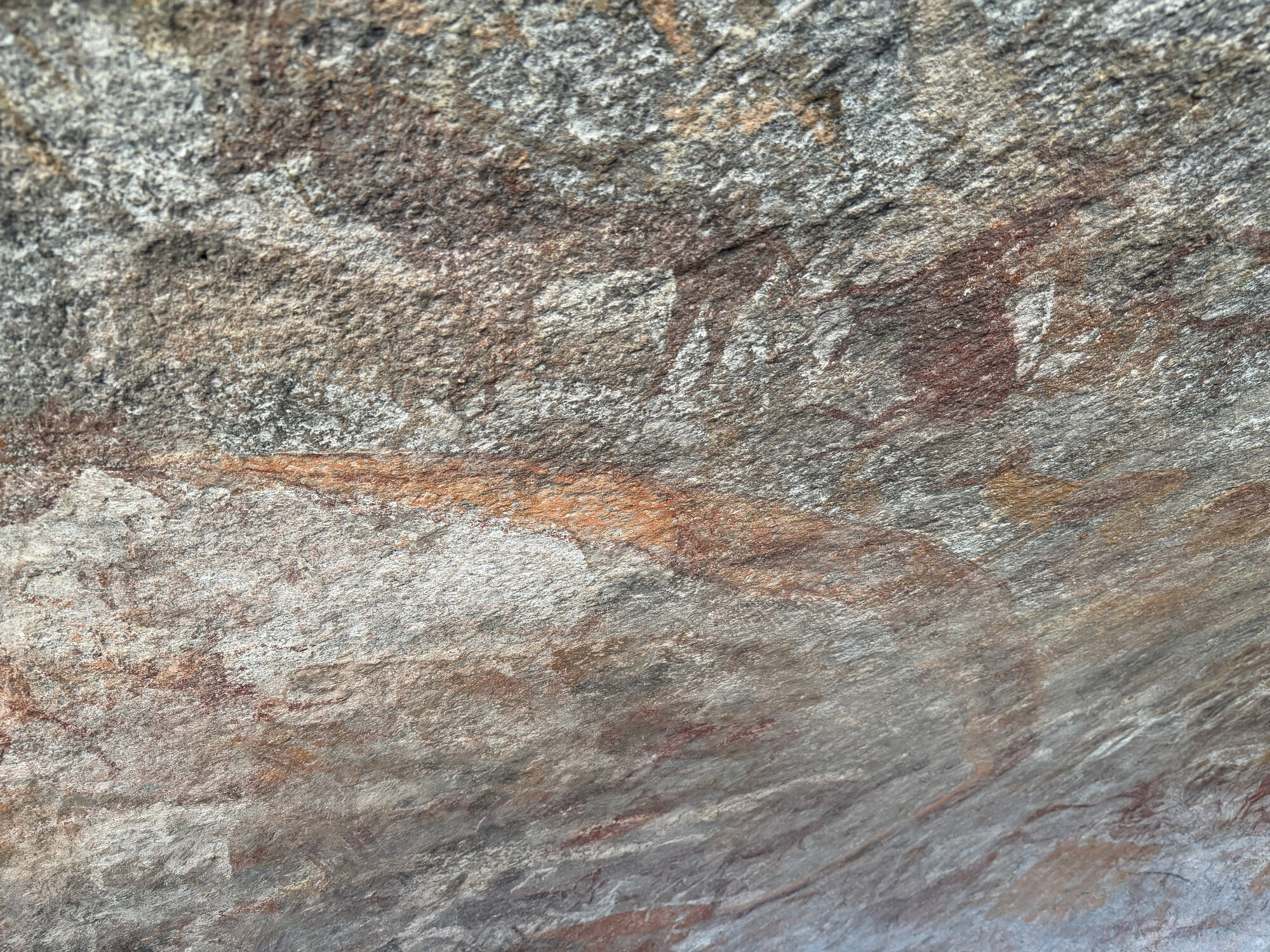 Chikupu Community Site - 2026-7-14_022