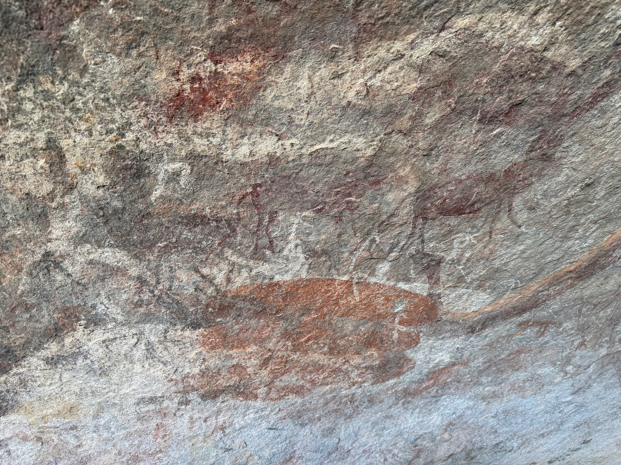 Chikupu Community Site - 2026-7-14_023