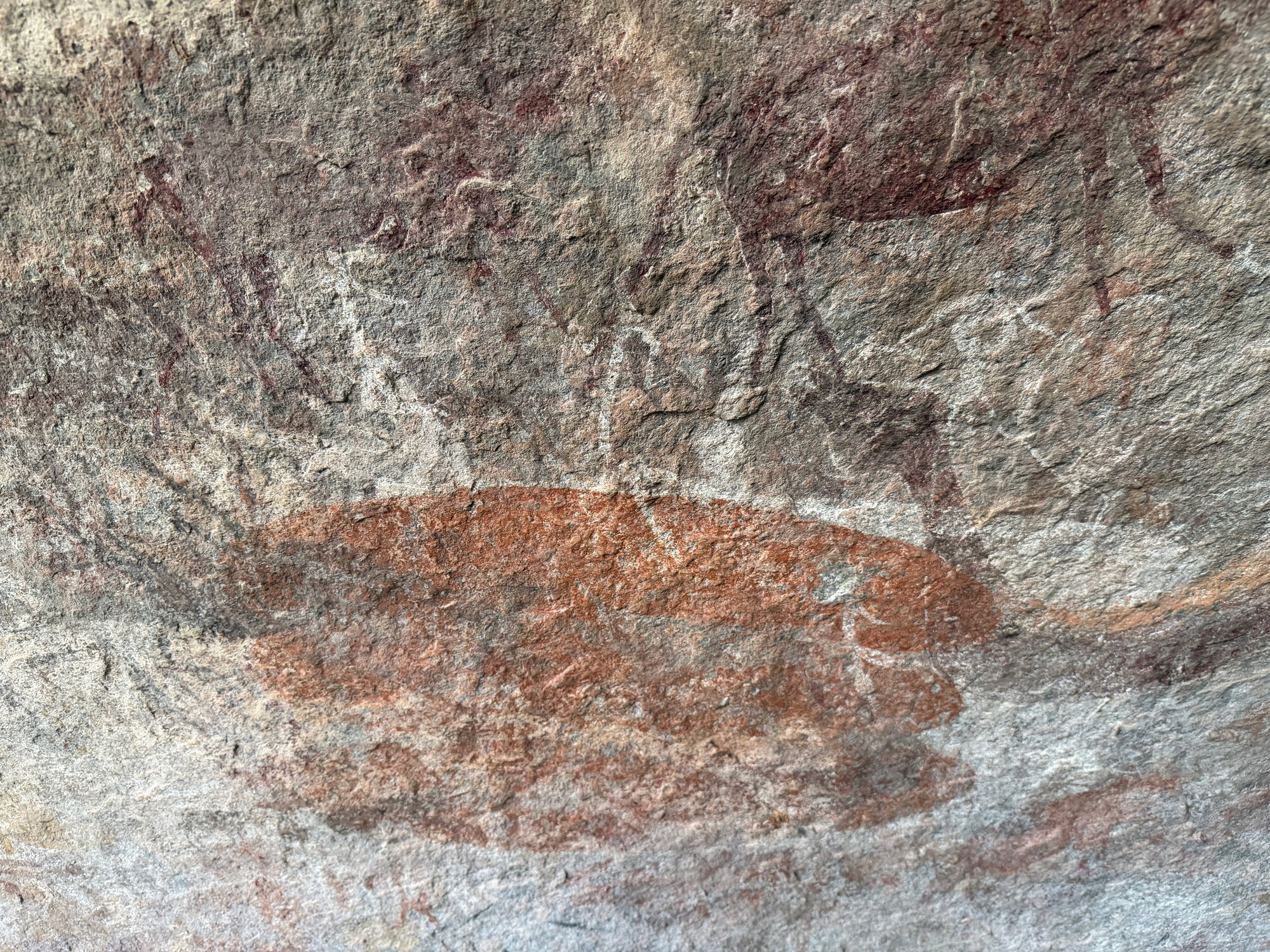 Chikupu Community Site - 2026-7-14_024