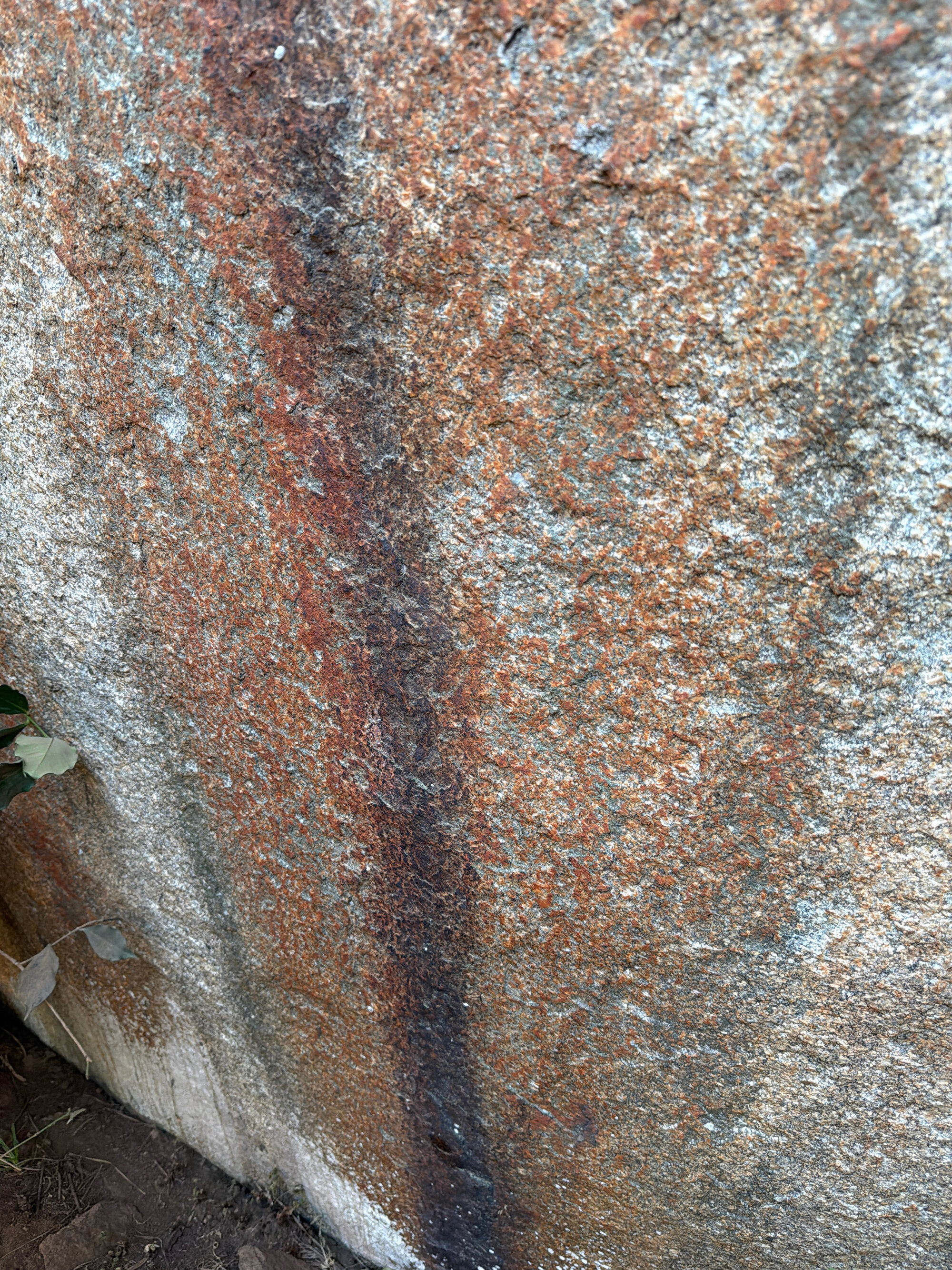 Echo Farm - 2026-7-15_015