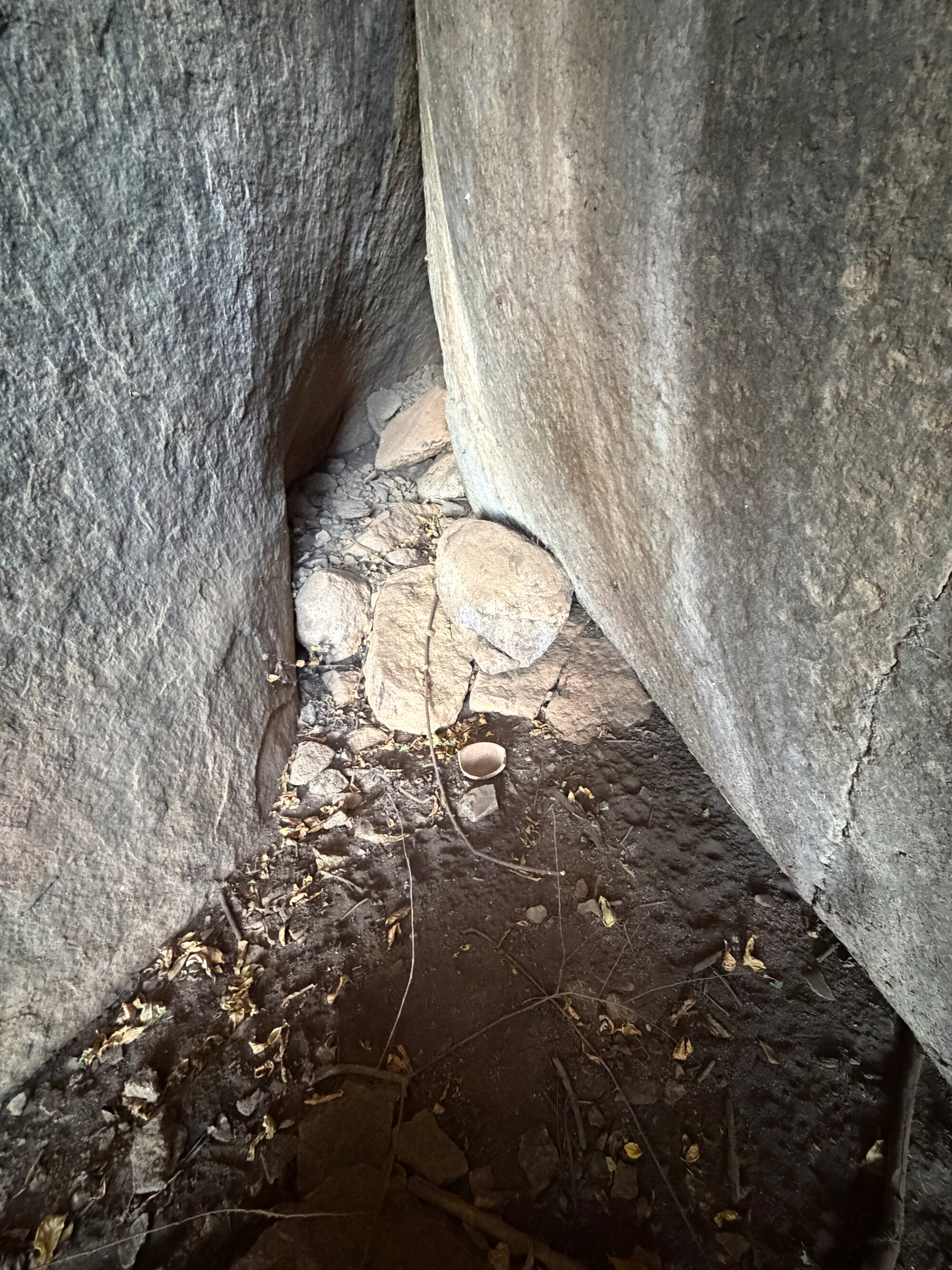 Echo Farm - 2026-7-15_019