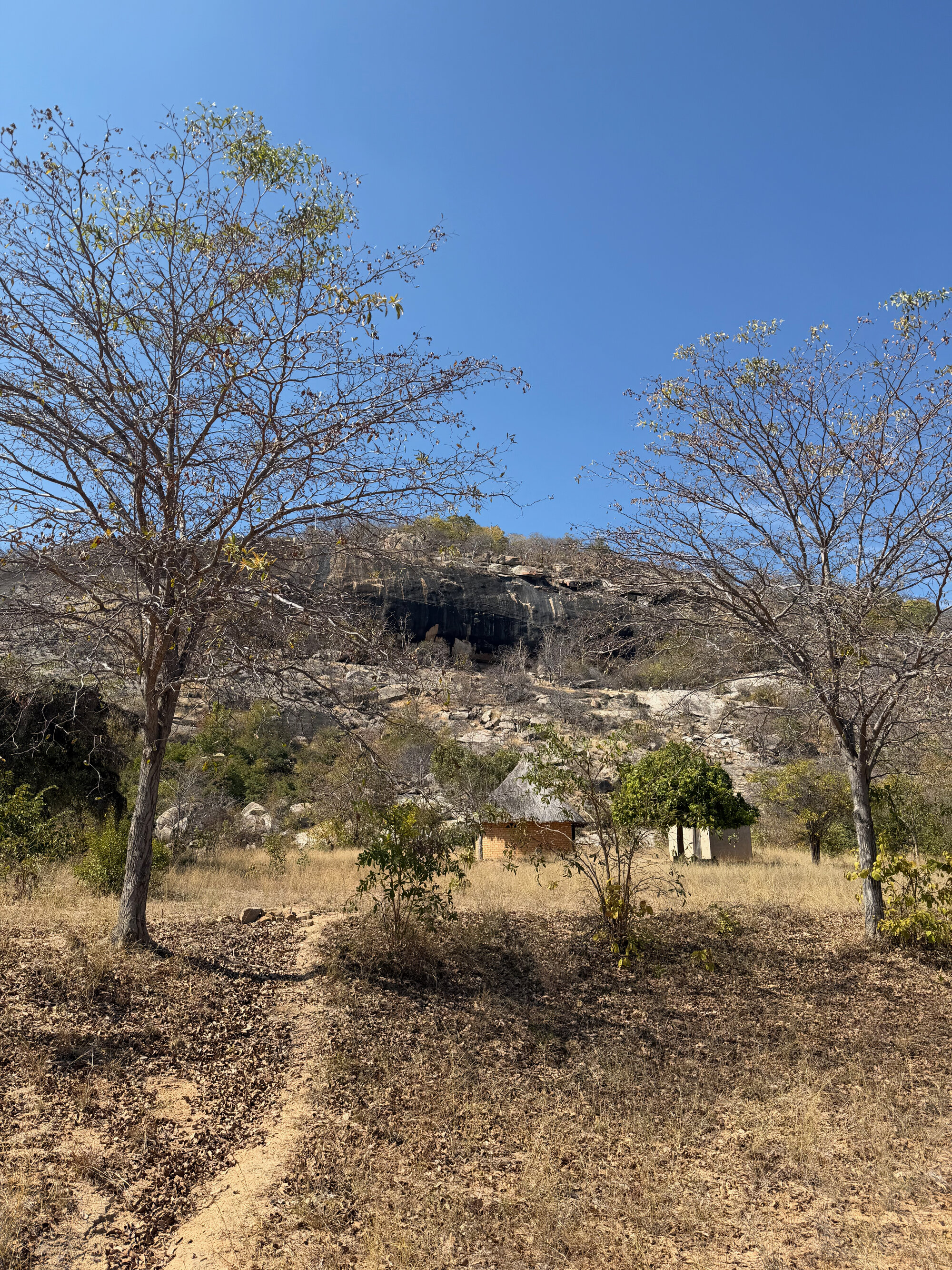 Charewa - 2026-7-17_004