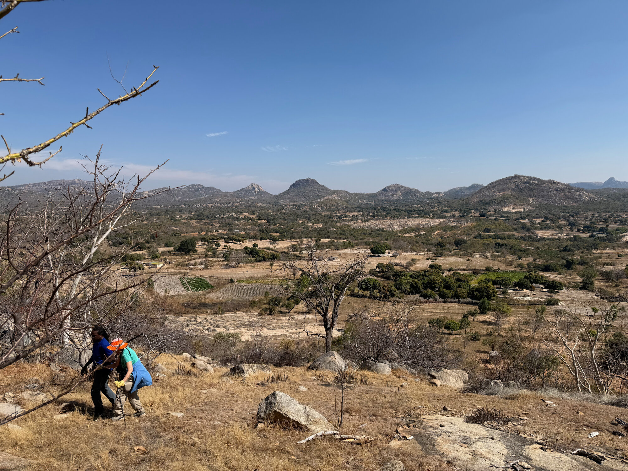 Charewa - 2026-7-17_008