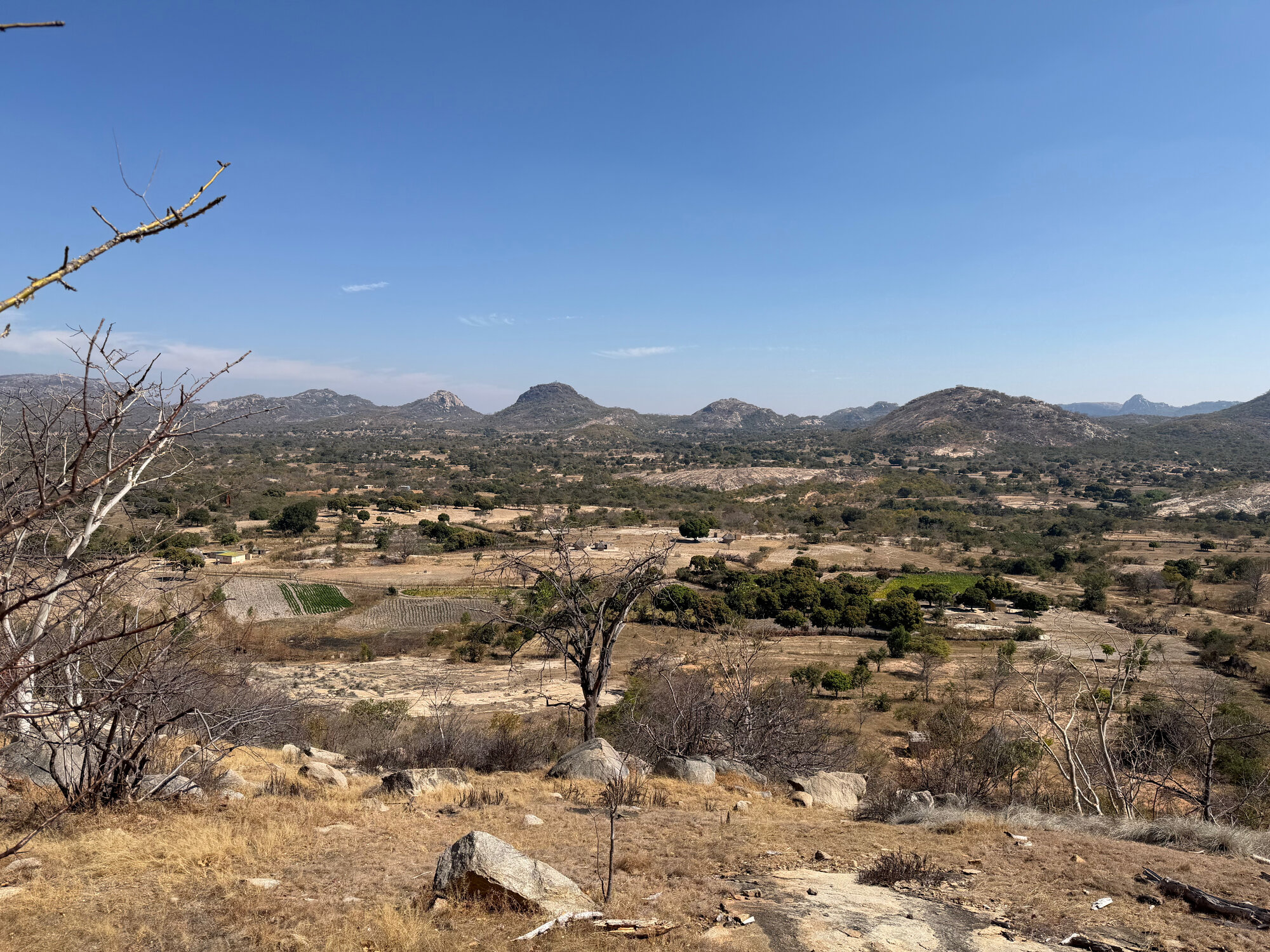 Charewa - 2026-7-17_009