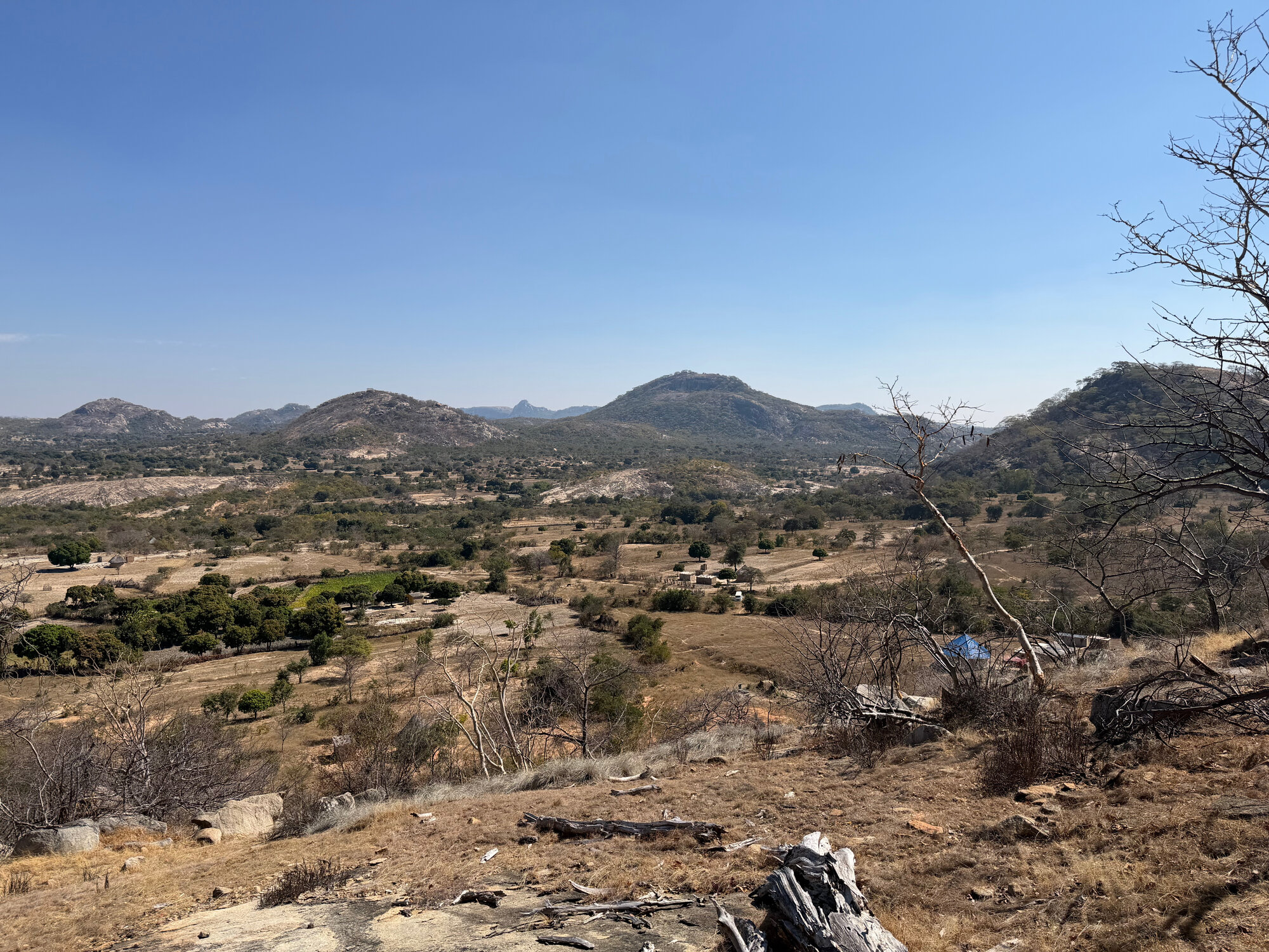 Charewa - 2026-7-17_010