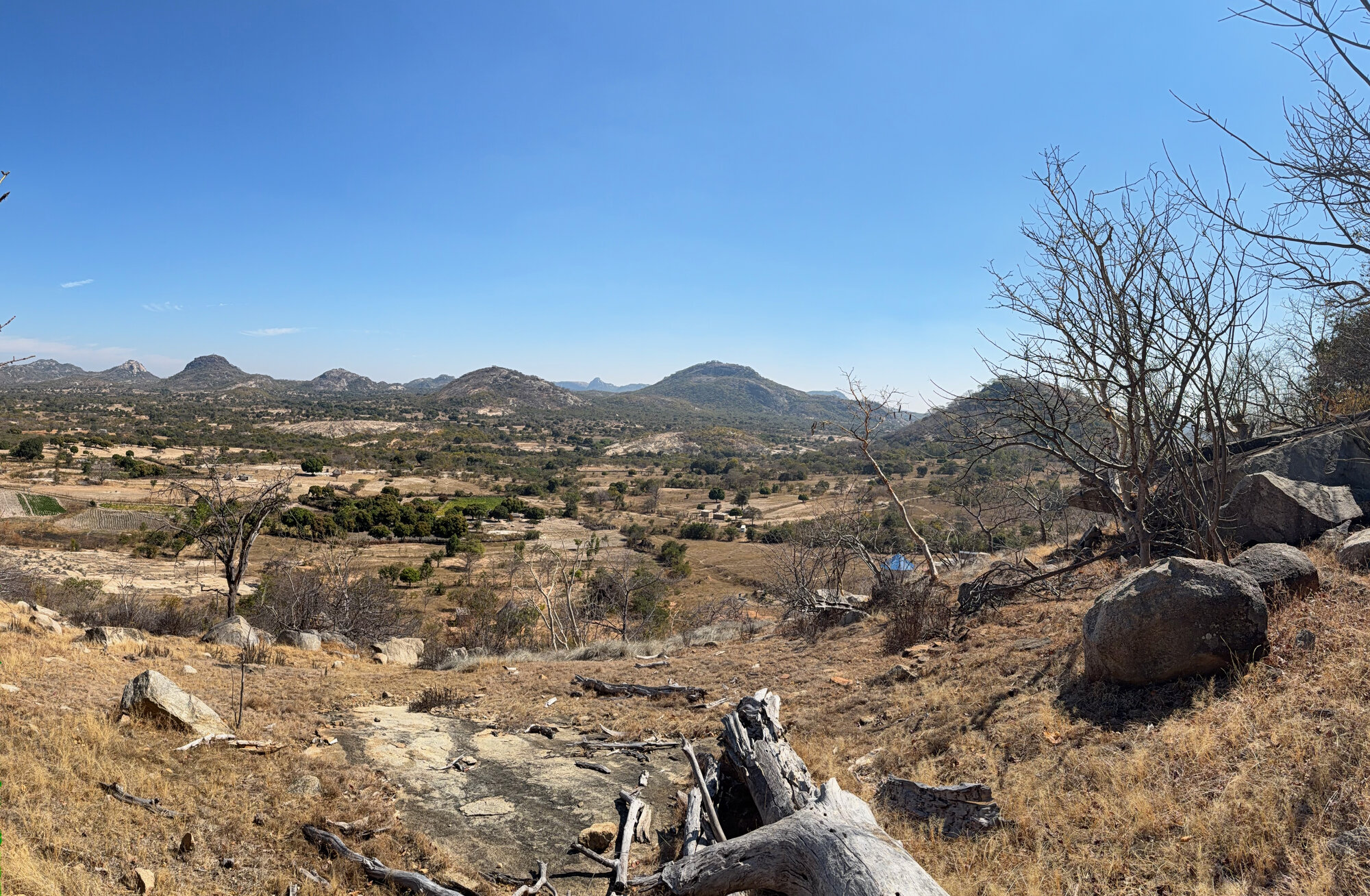 Charewa - 2026-7-17_011