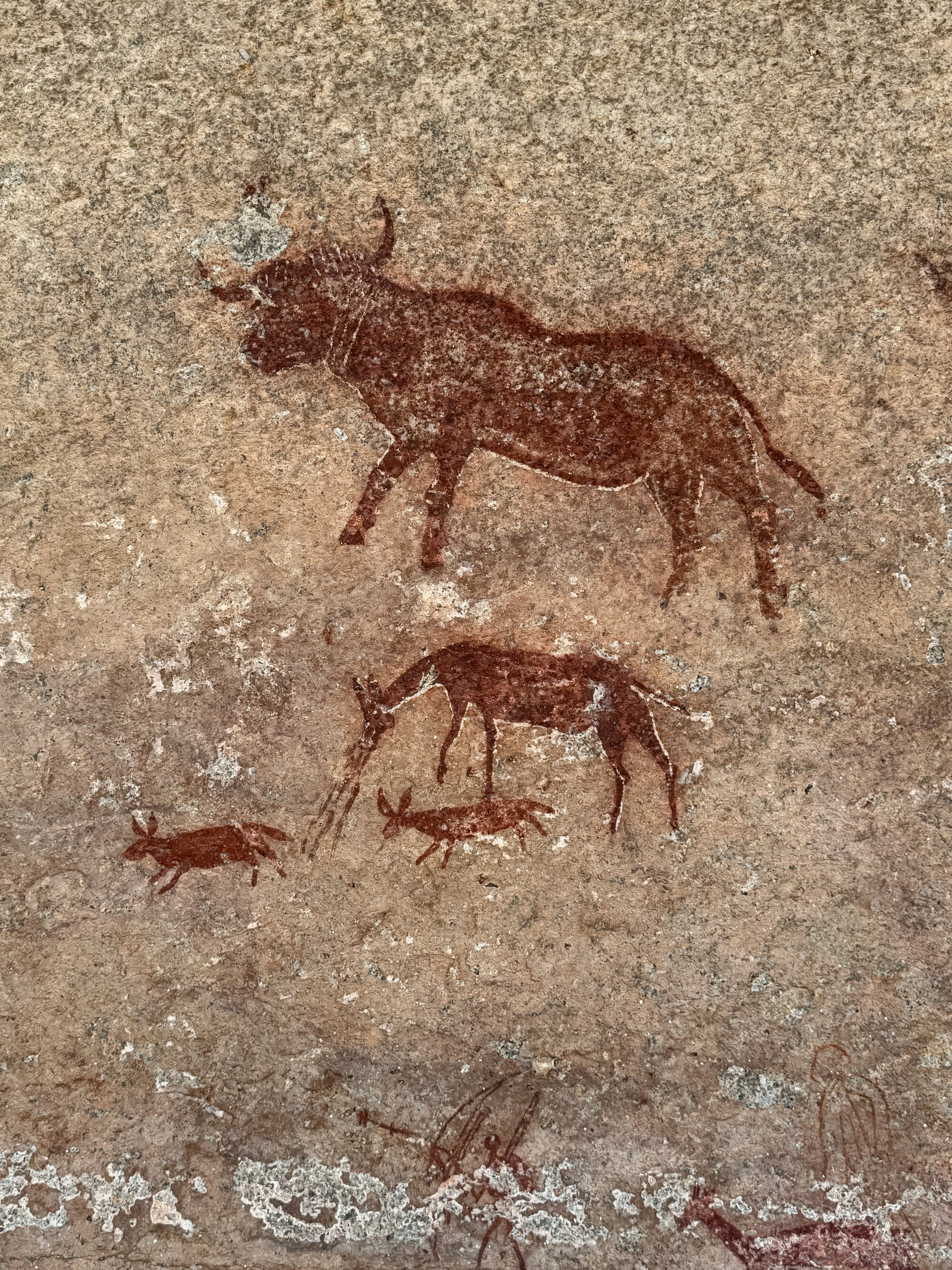 Manemba cave - 2026-7-17_020