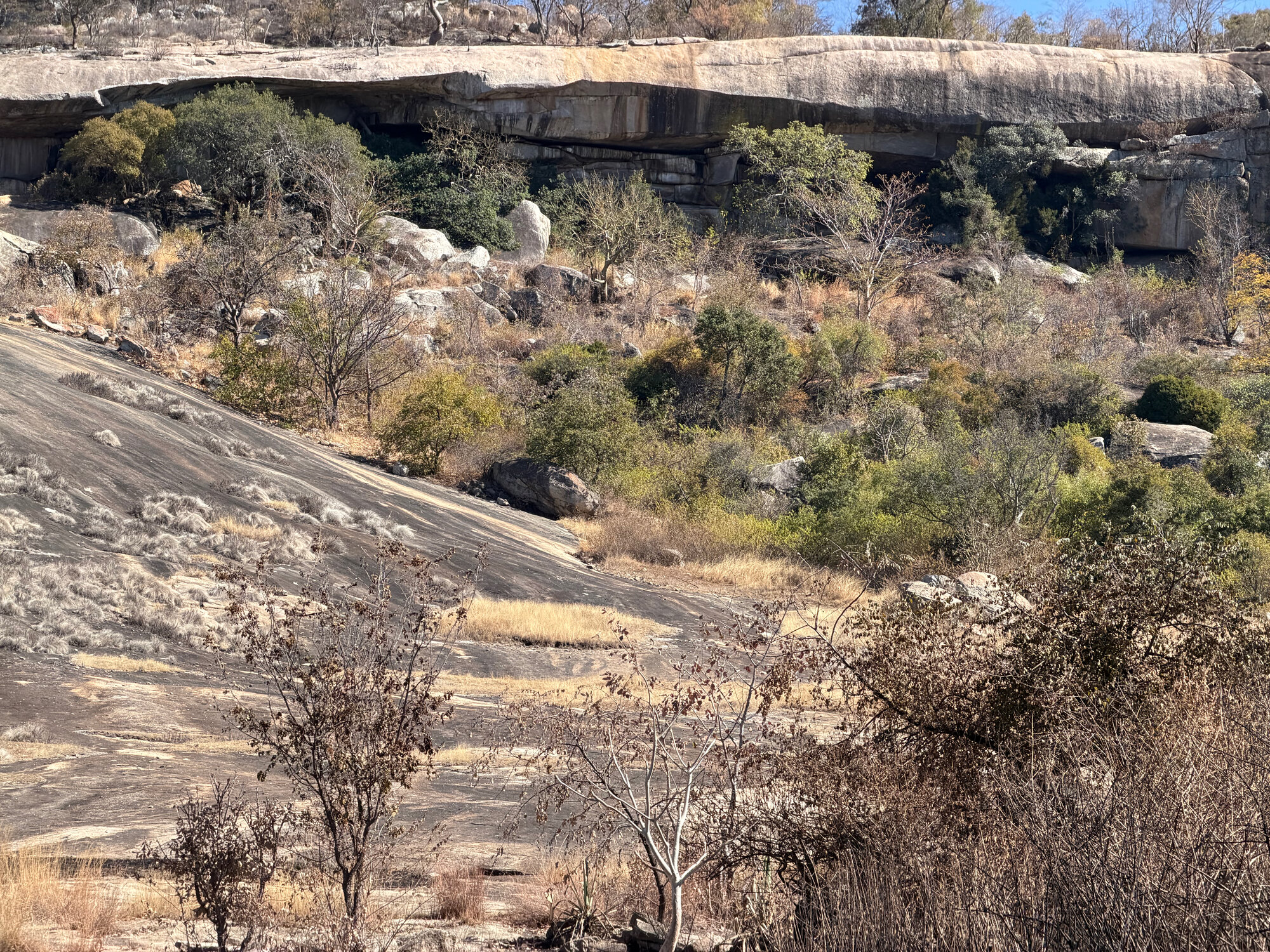 Gwangwadza - 2026-7-18_003