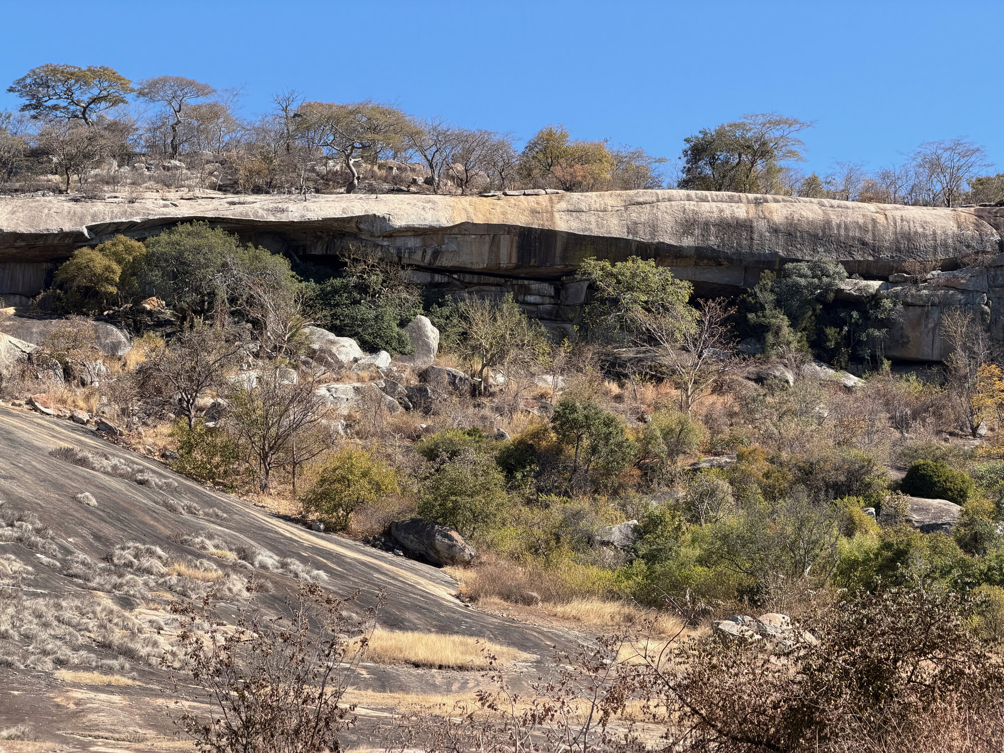 Gwangwadza - 2026-7-18_004