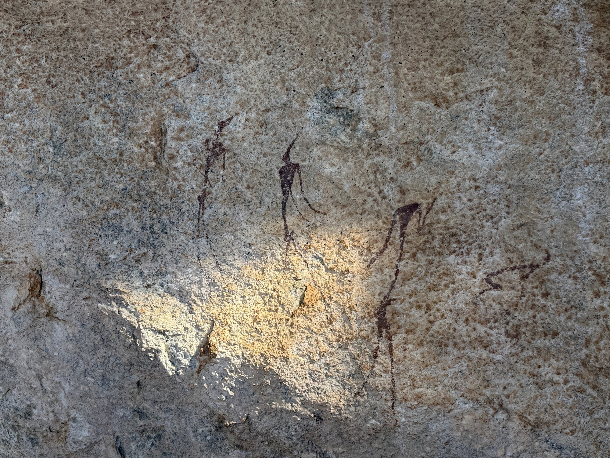 Gwangwadza - 2026-7-18_015