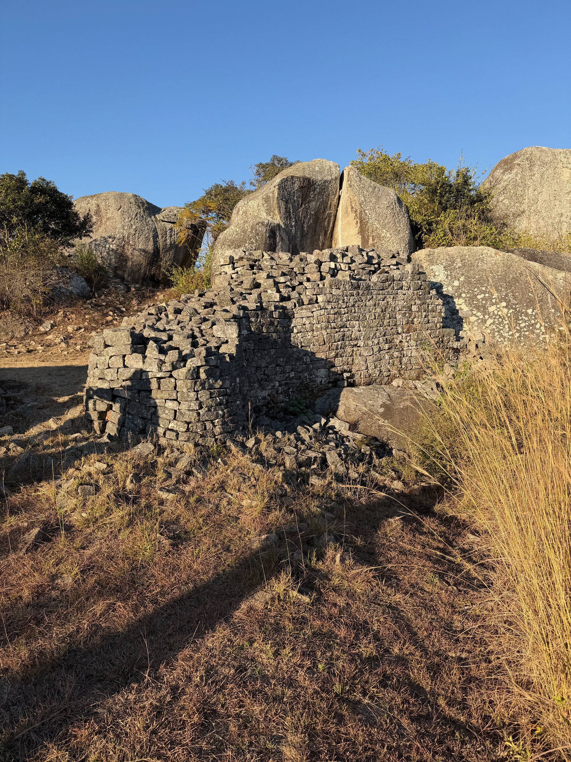 Zvipadze_005