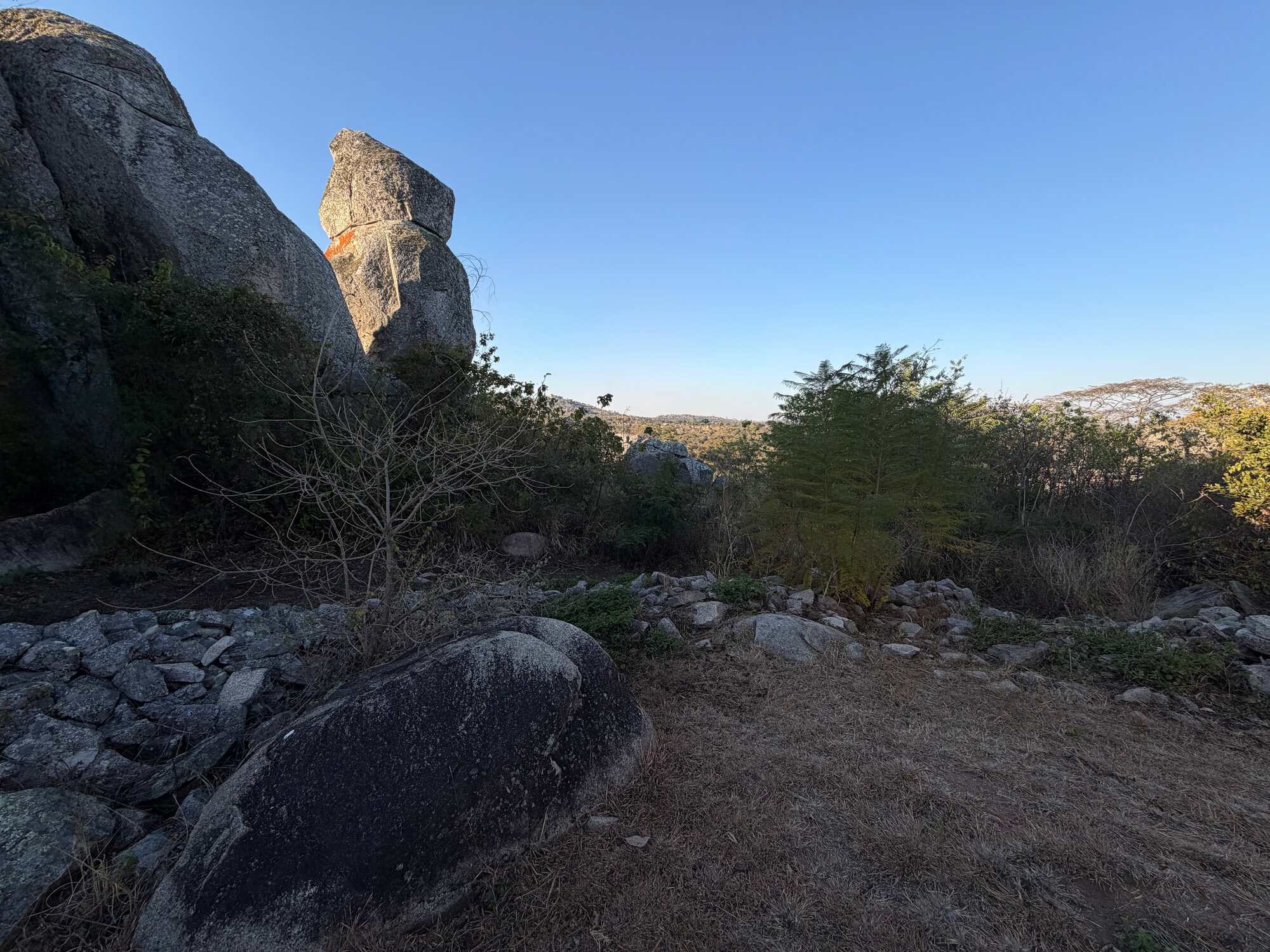 Zvipadze_008