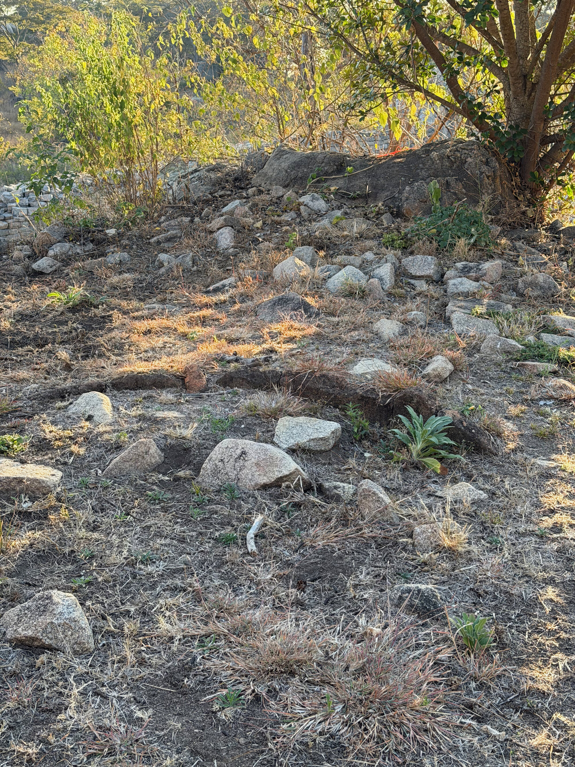 Zvipadze_012
