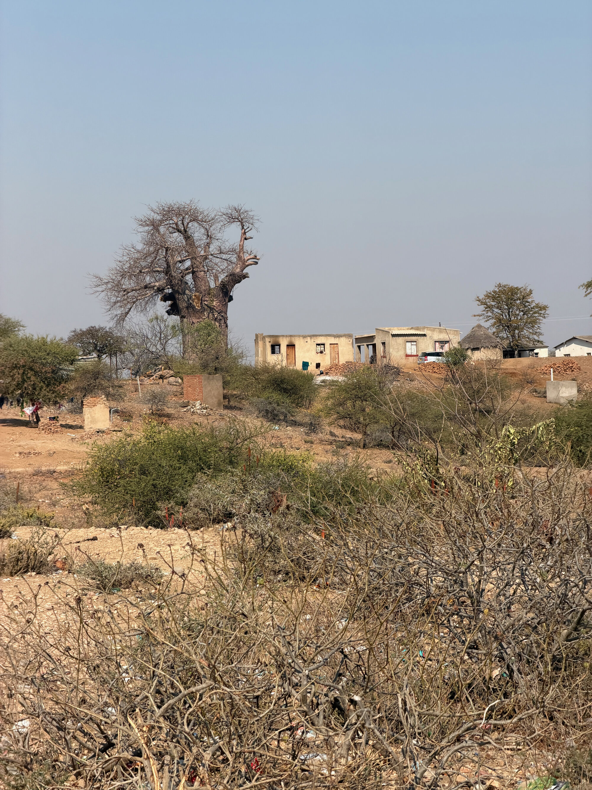 Birchenough Bridge - 2026-7-21_001