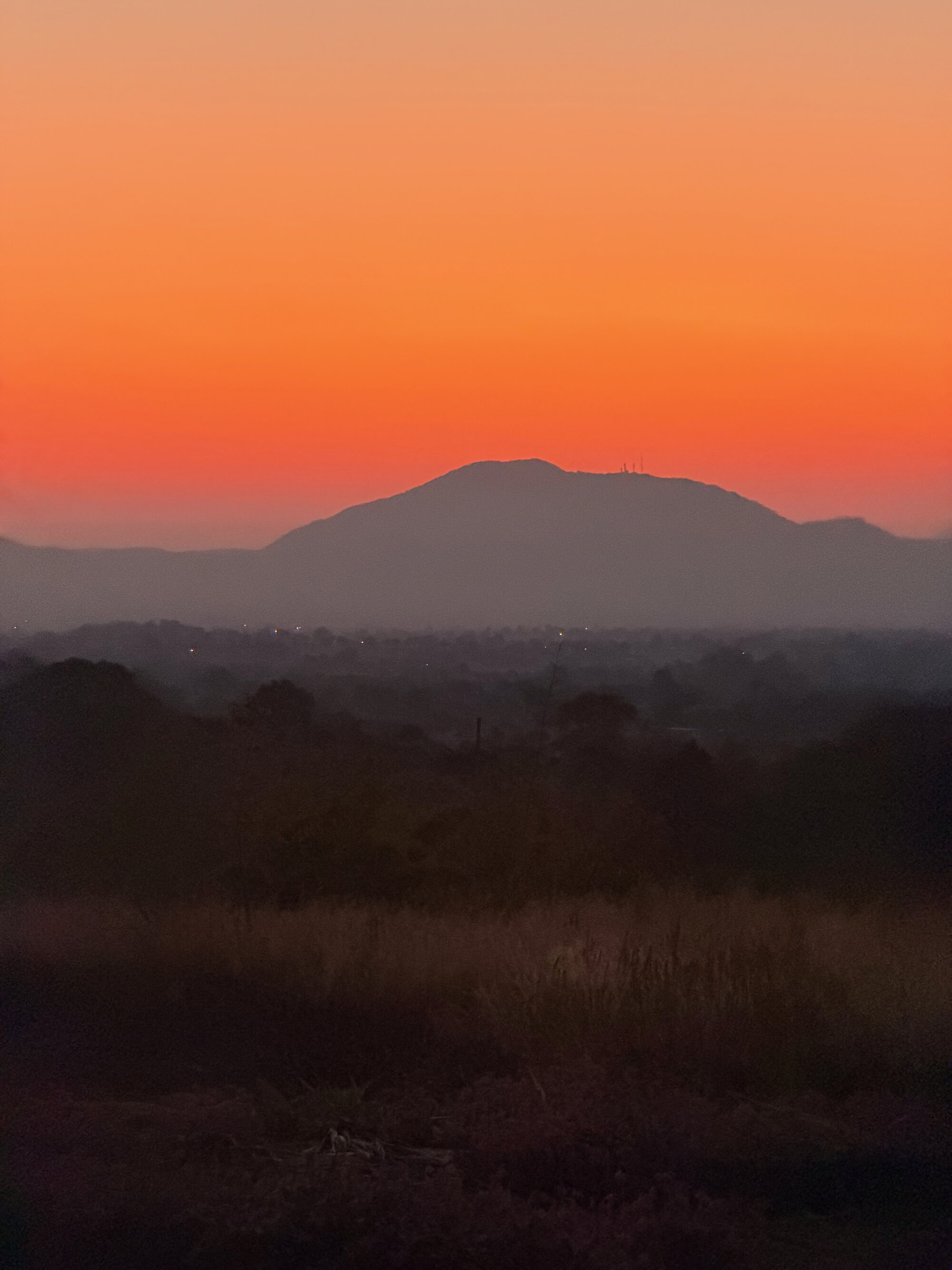 Great Zimbabwe 2026-7-23_018