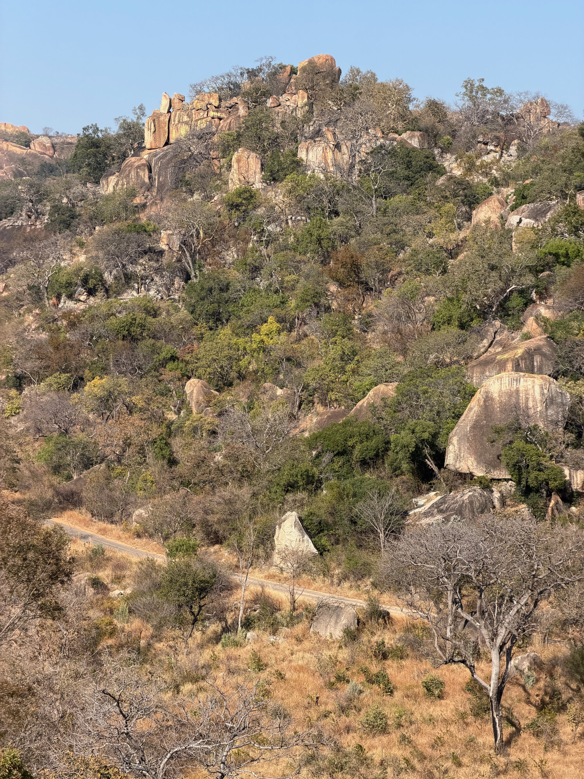 2028 B3 035 (White Rhino) 2026-7-25_004