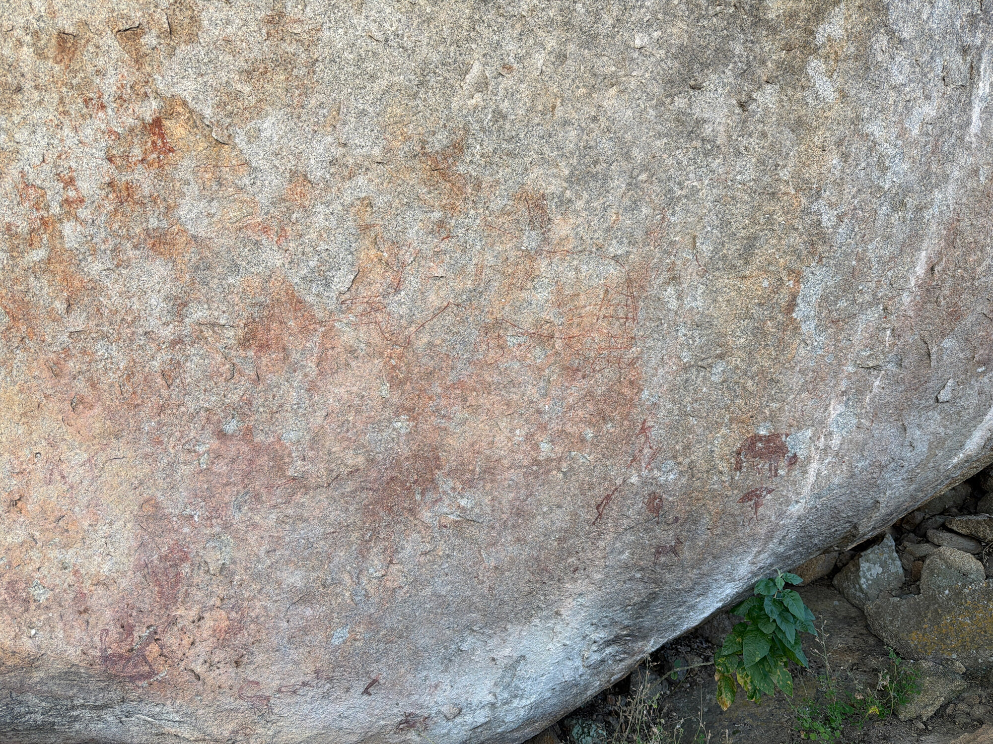 2028 B3 035 (White Rhino) 2026-7-25_006