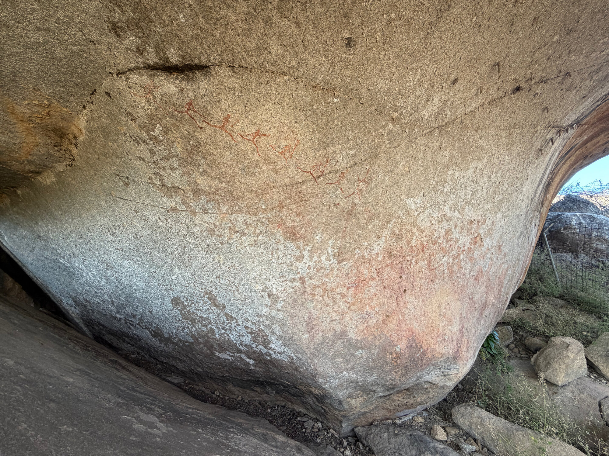 2028 B3 035 (White Rhino) 2026-7-25_021