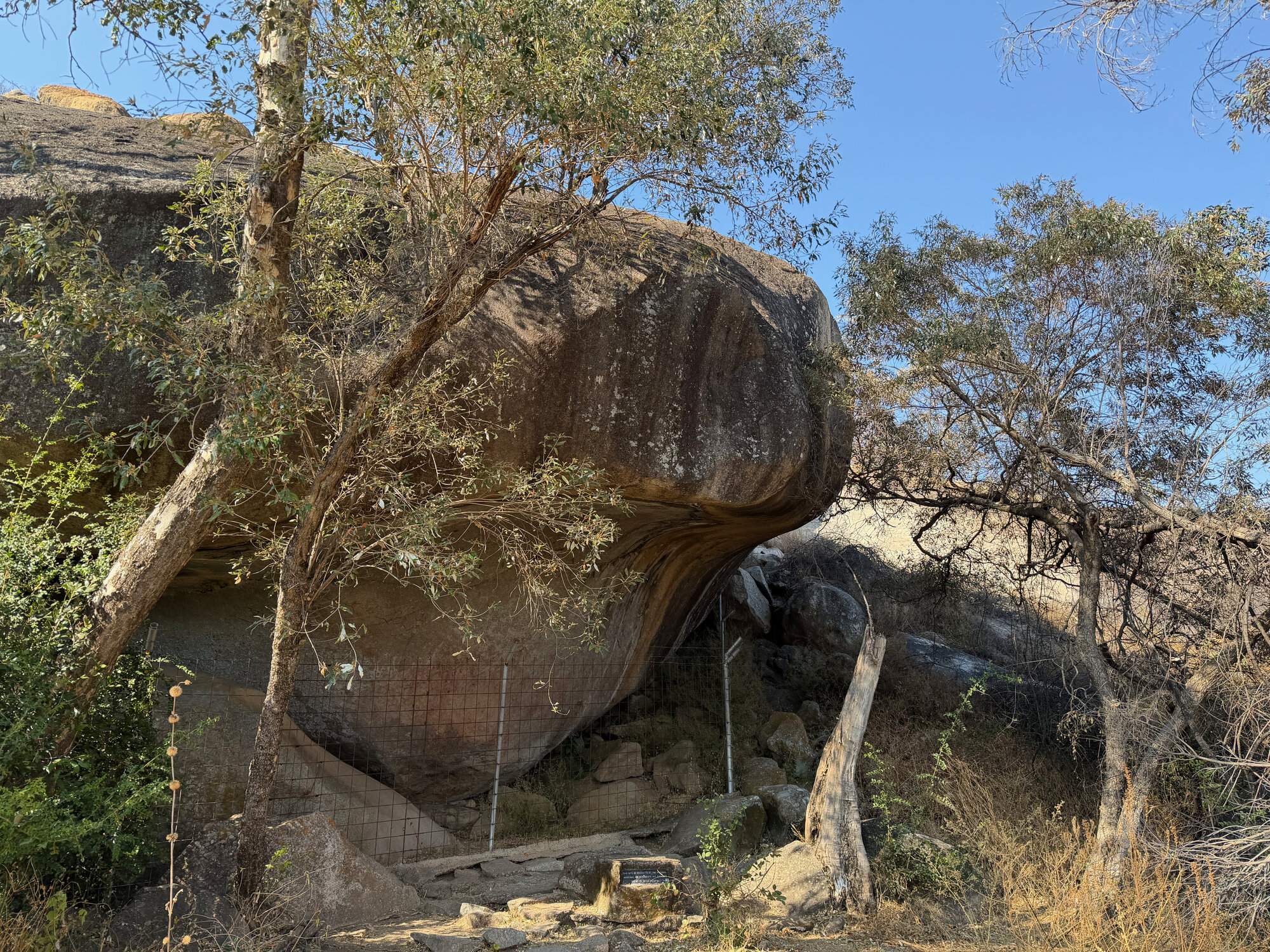 2028 B3 035 (White Rhino) 2026-7-25_030