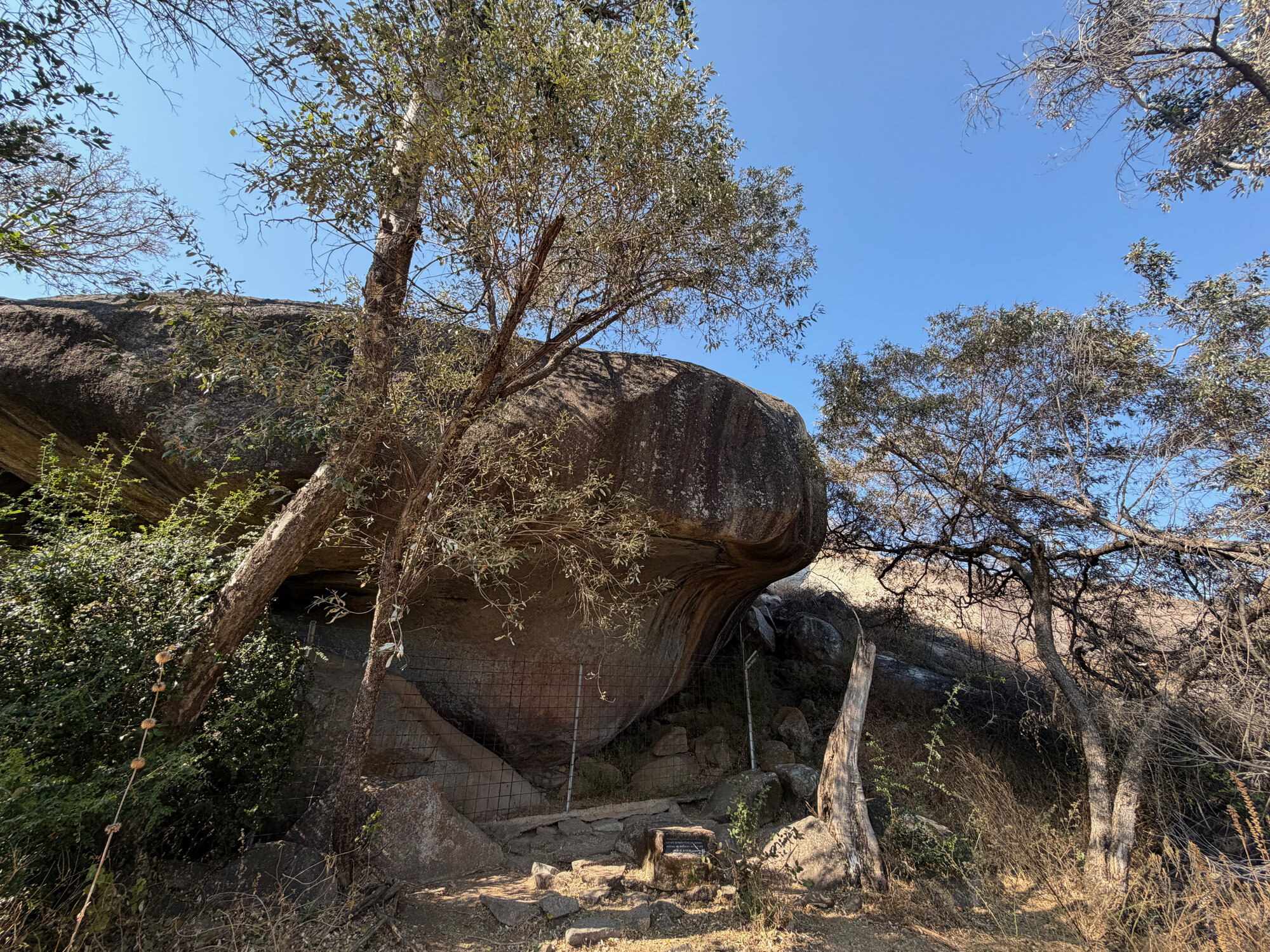 2028 B3 035 (White Rhino) 2026-7-25_031