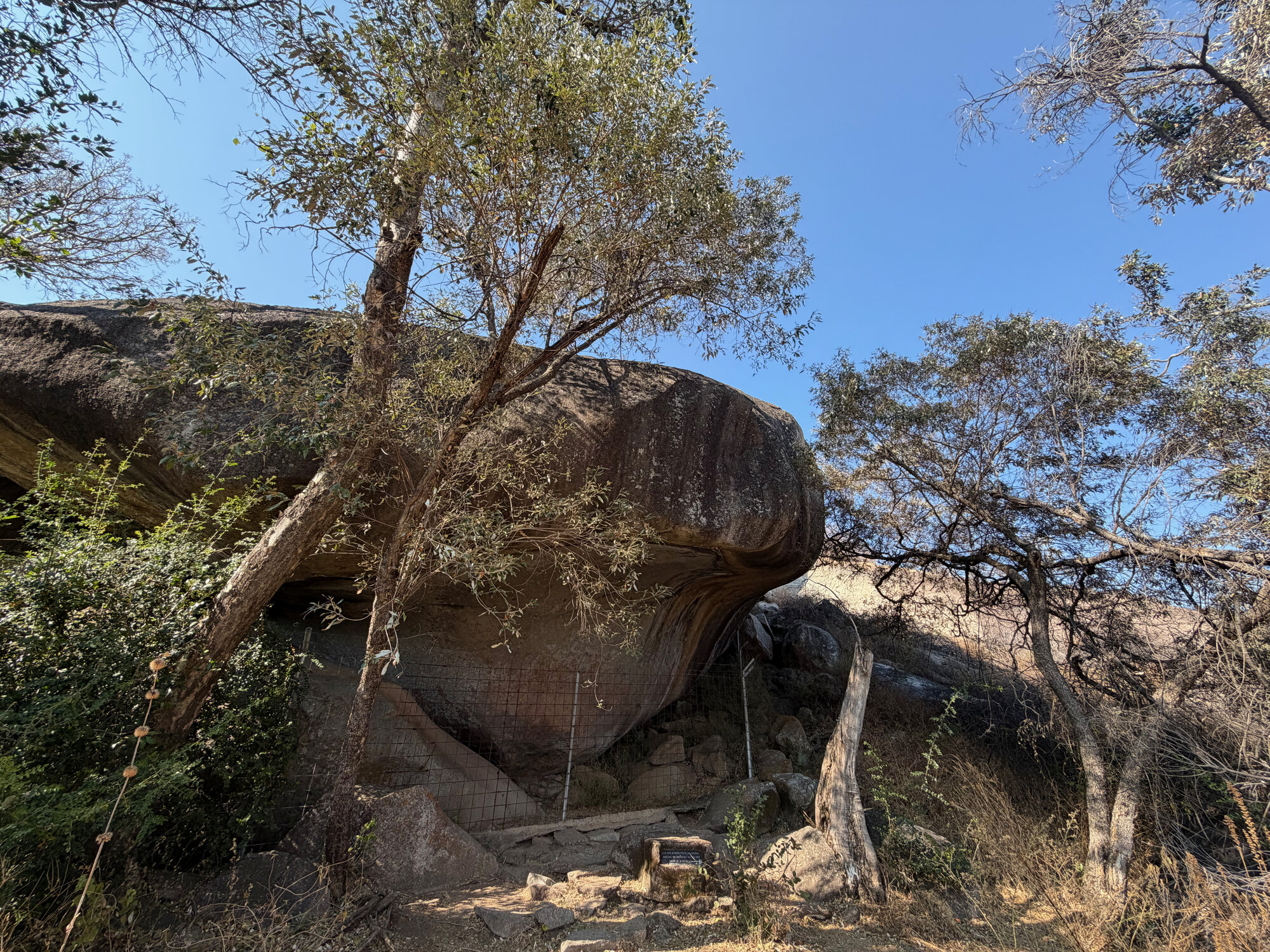 2028 B3 035 (White Rhino) 2026-7-25_032