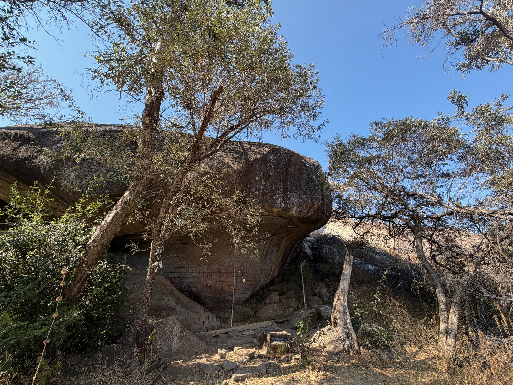 2028 B3 035 (White Rhino) 2026-7-25_033