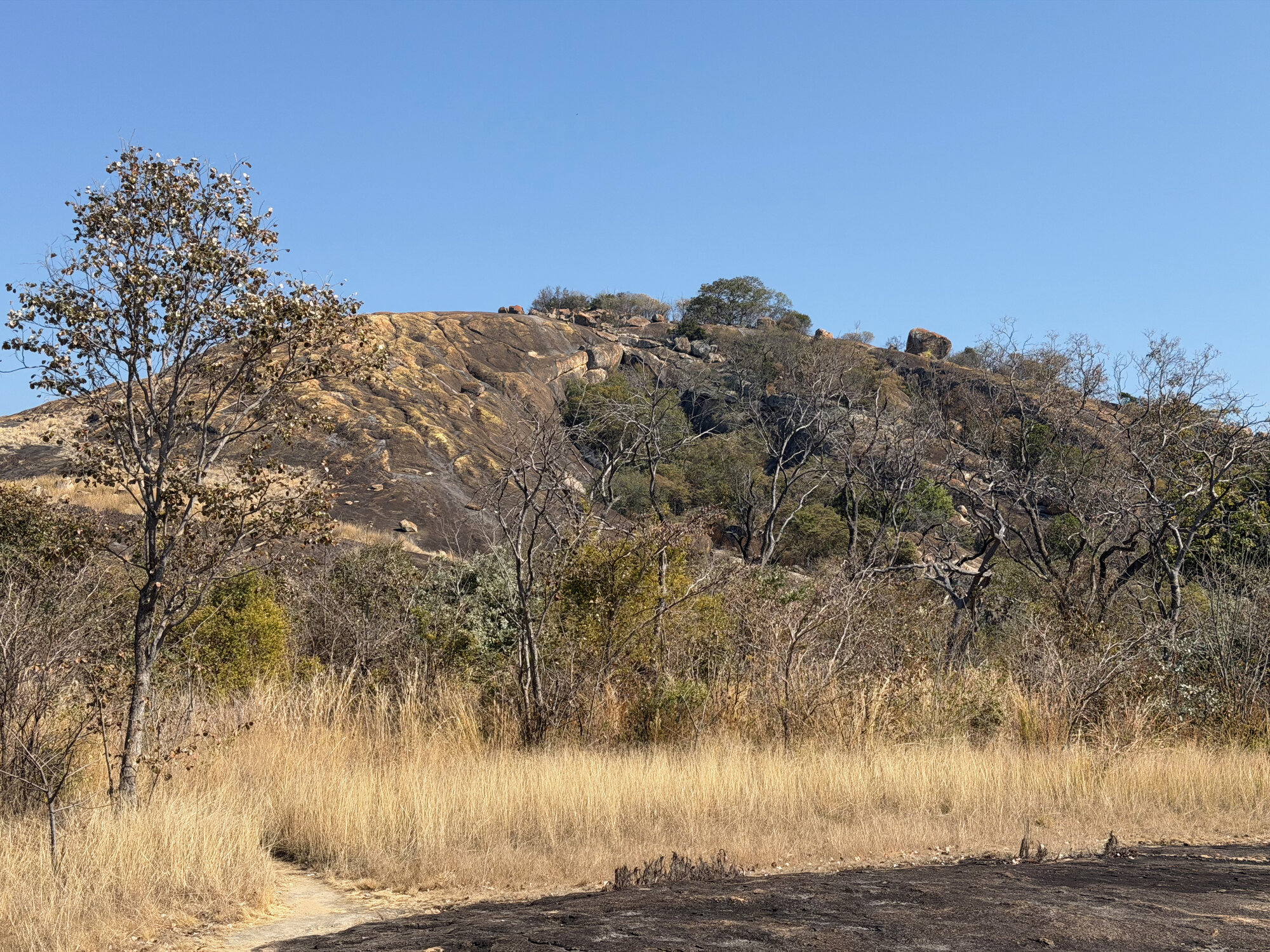2028 B3 035 (White Rhino) 2026-7-25_037