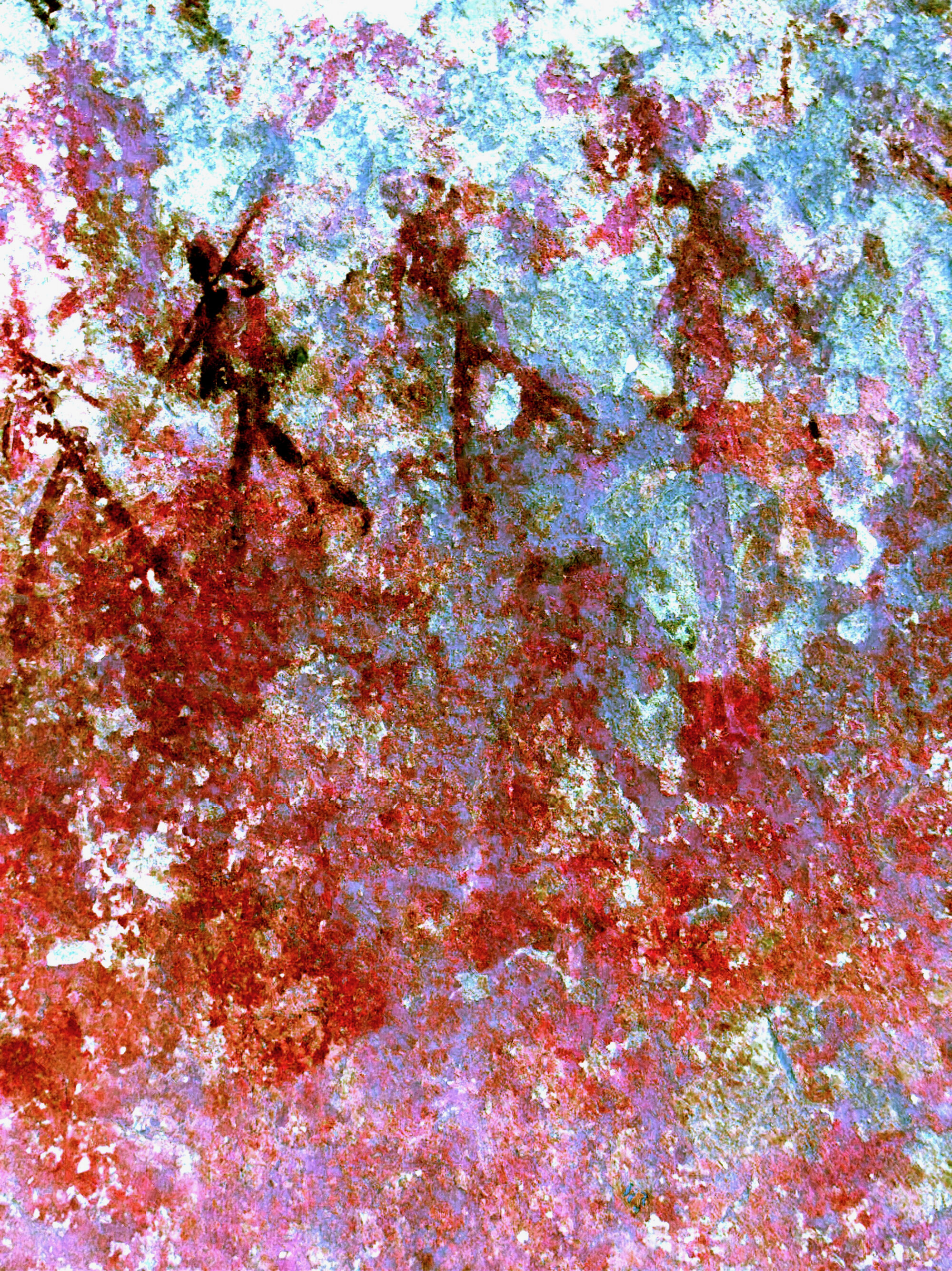 2028 C2 001 (Nswatugi) 2026-7-25_021
