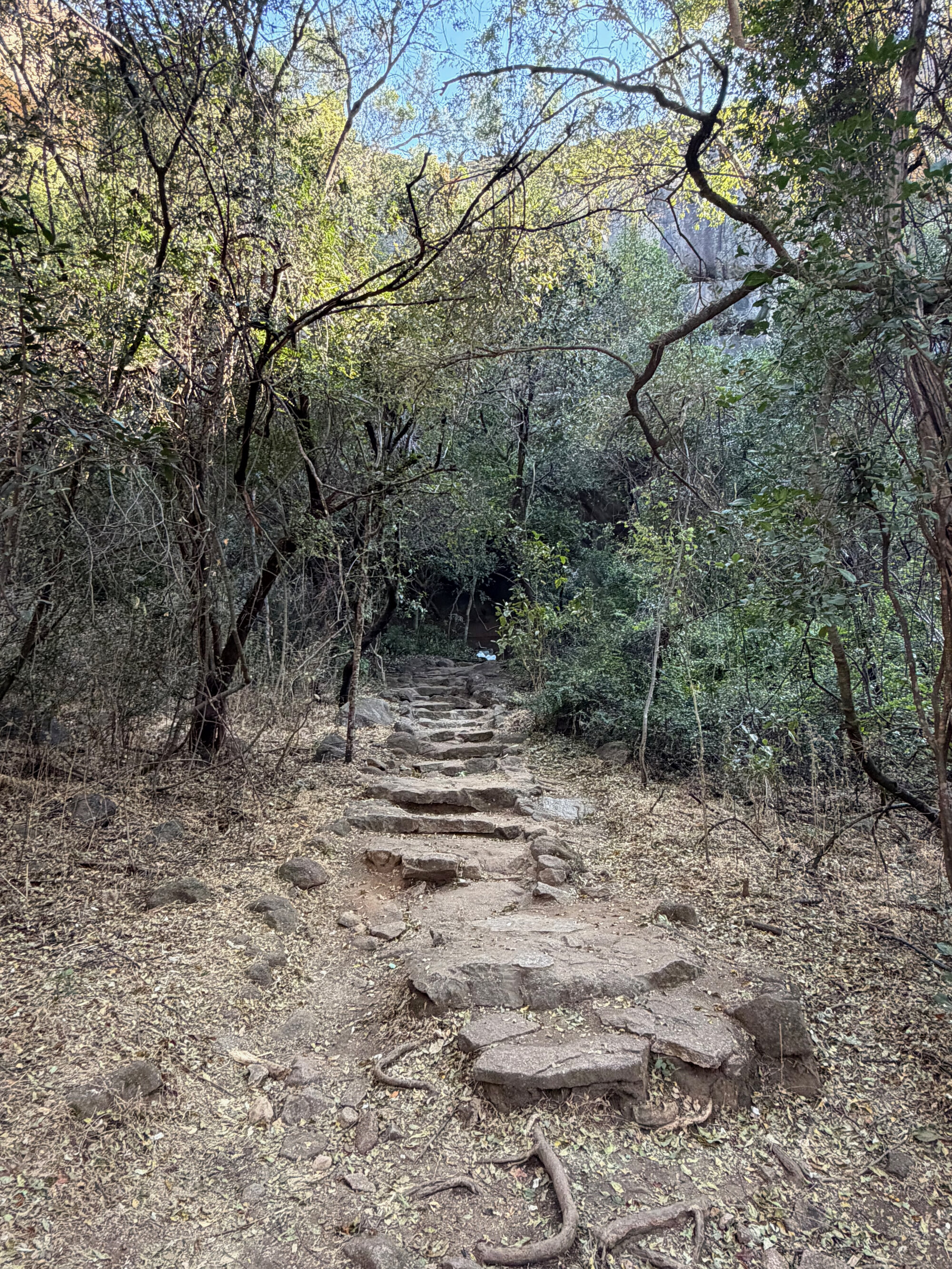 2028 D1 002 (Pomongwe) 2026-7-25_001