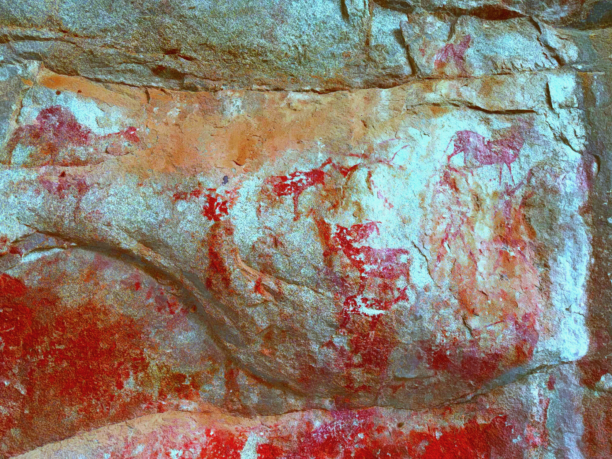 2028 D1 002 (Pomongwe) 2026-7-25_006