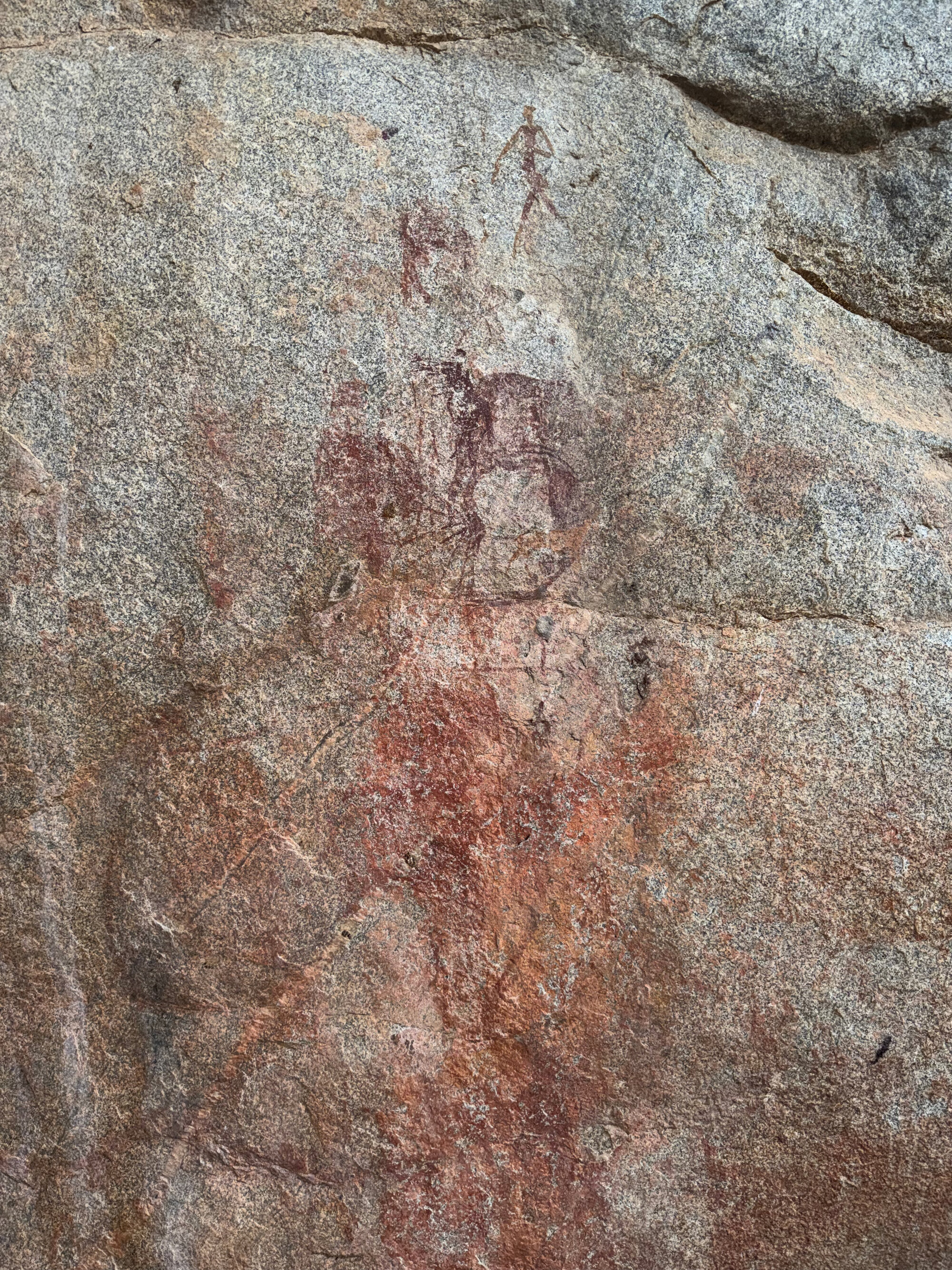 2028 D1 002 (Pomongwe) 2026-7-25_007