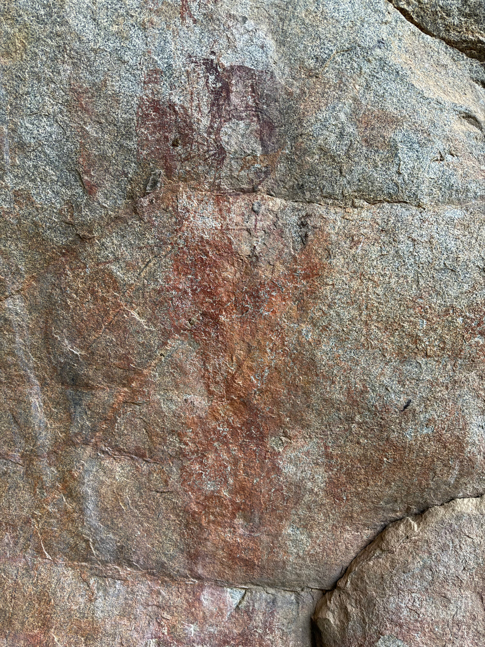 2028 D1 002 (Pomongwe) 2026-7-25_009