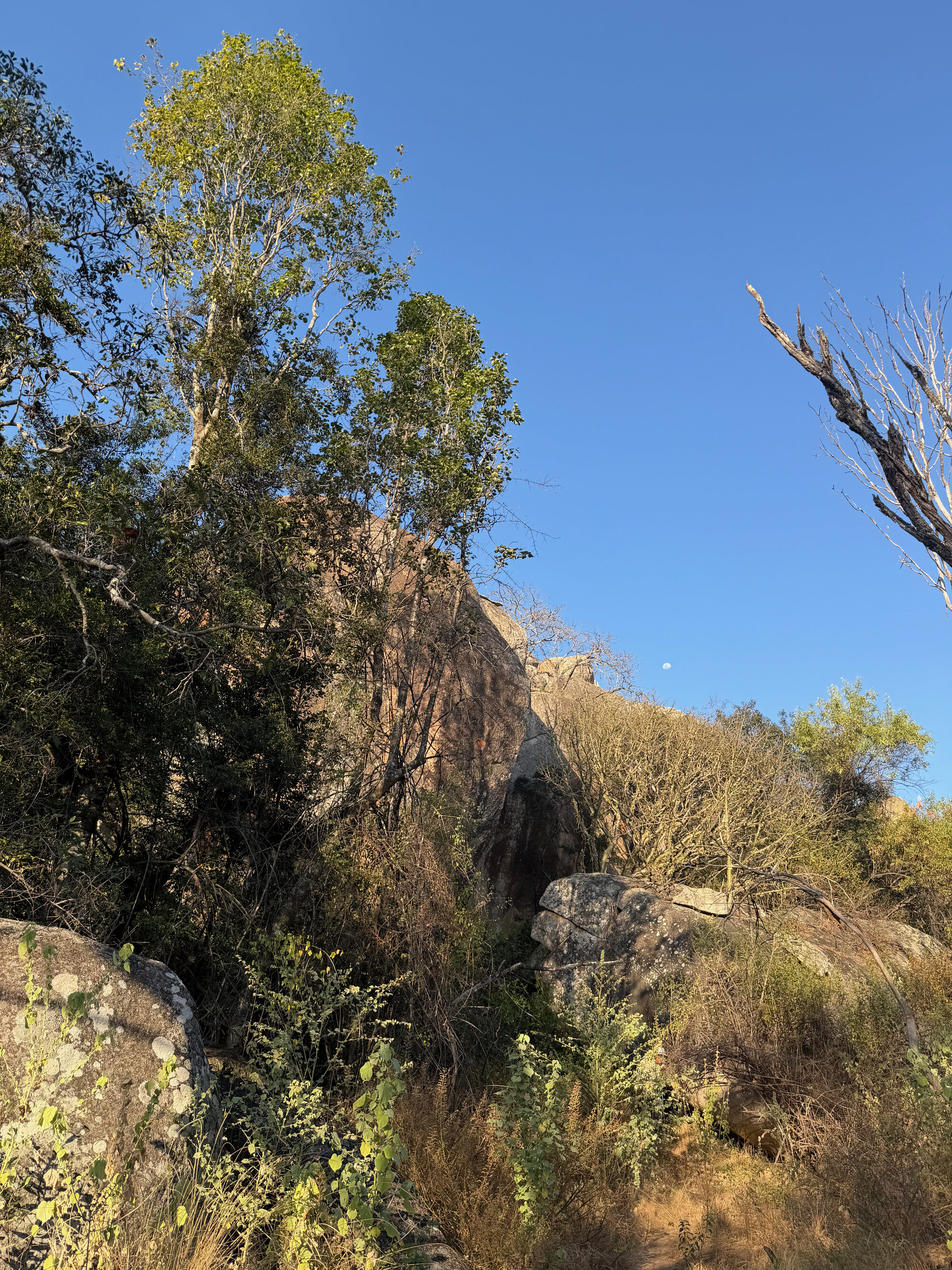 2028 D1 098 (Mbalebale) 2026-7-25_057
