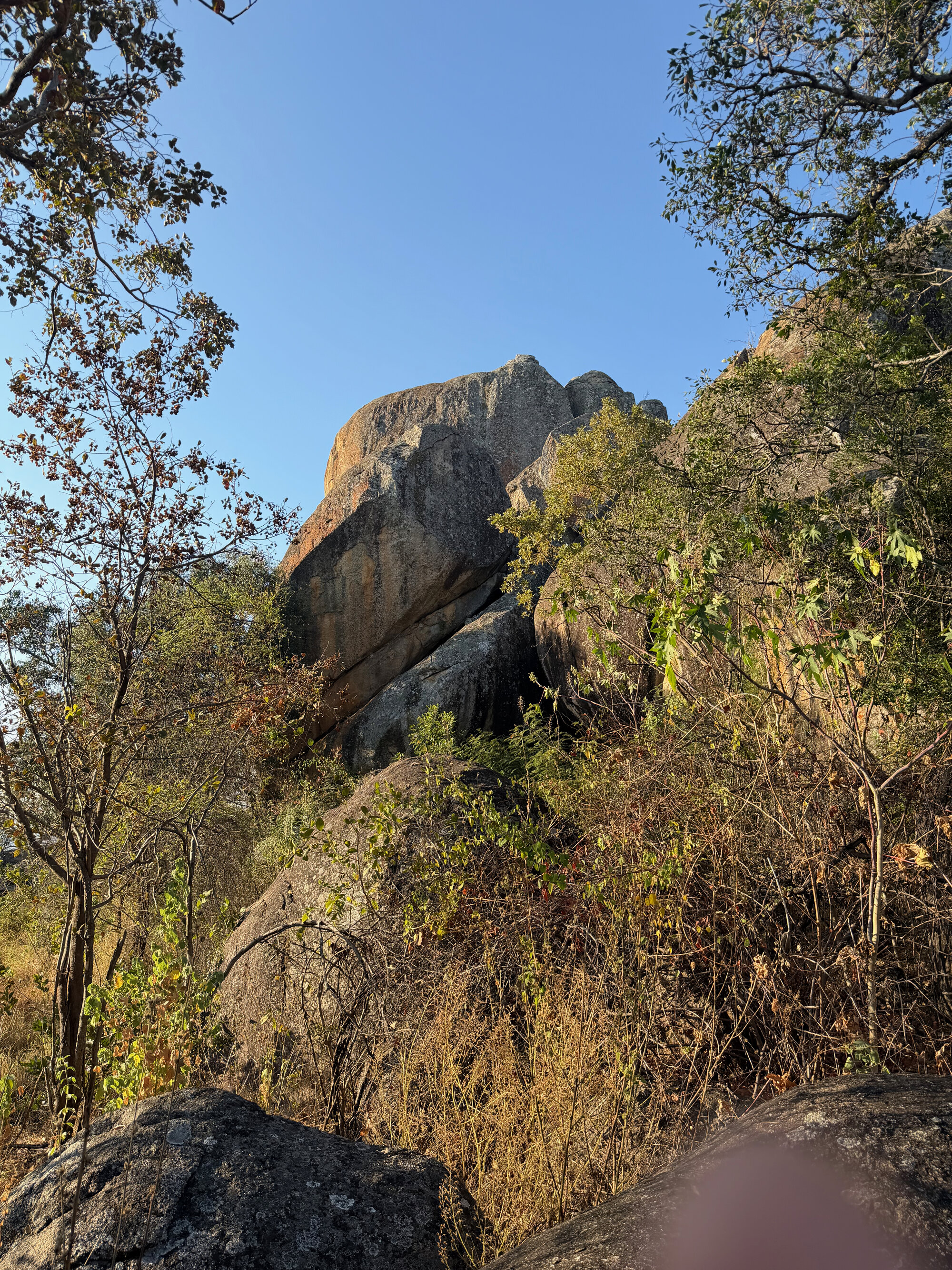 2028 D1 098 (Mbalebale) 2026-7-25_058