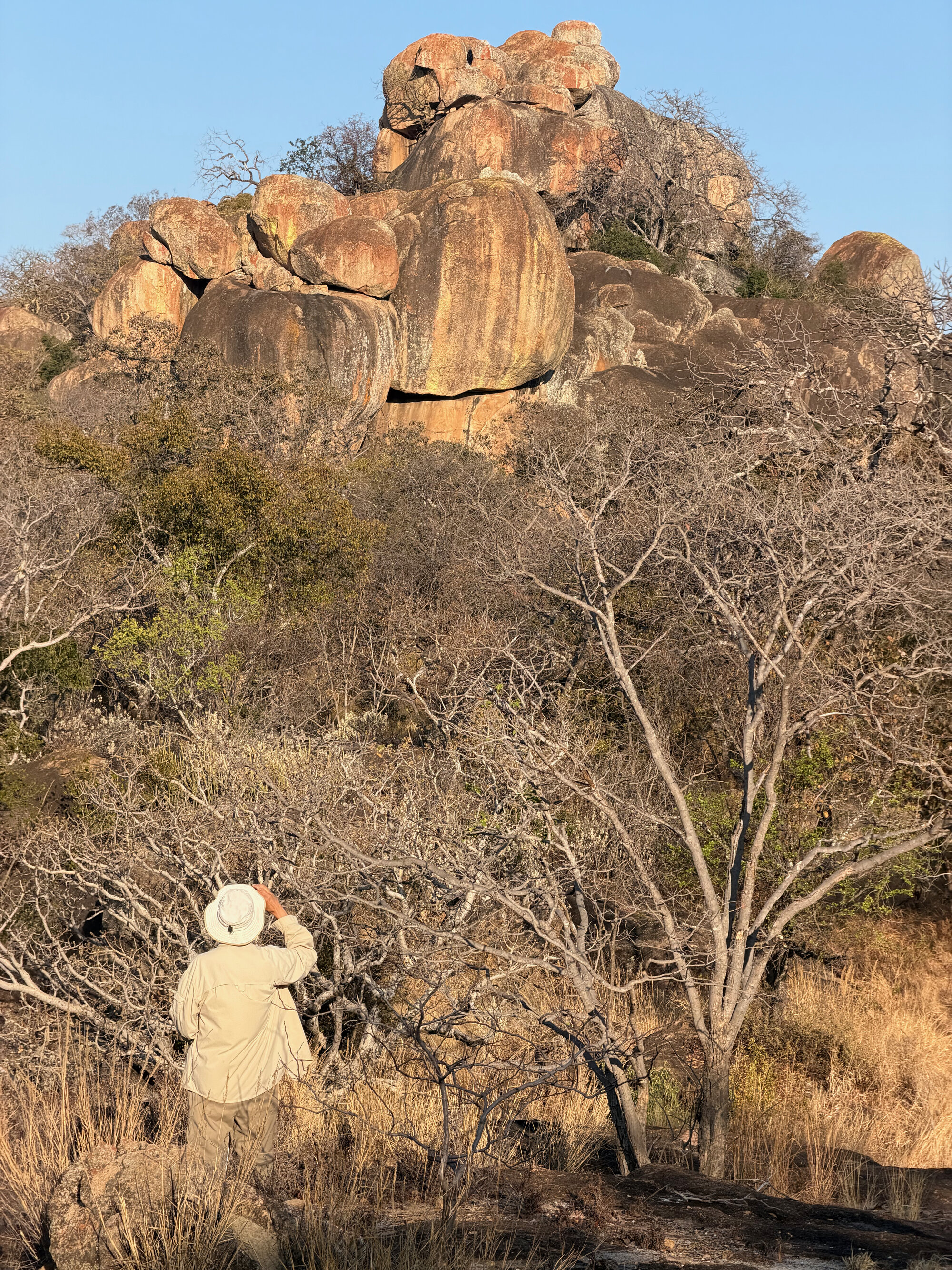 2028 D1 098 (Mbalebale) 2026-7-25_059