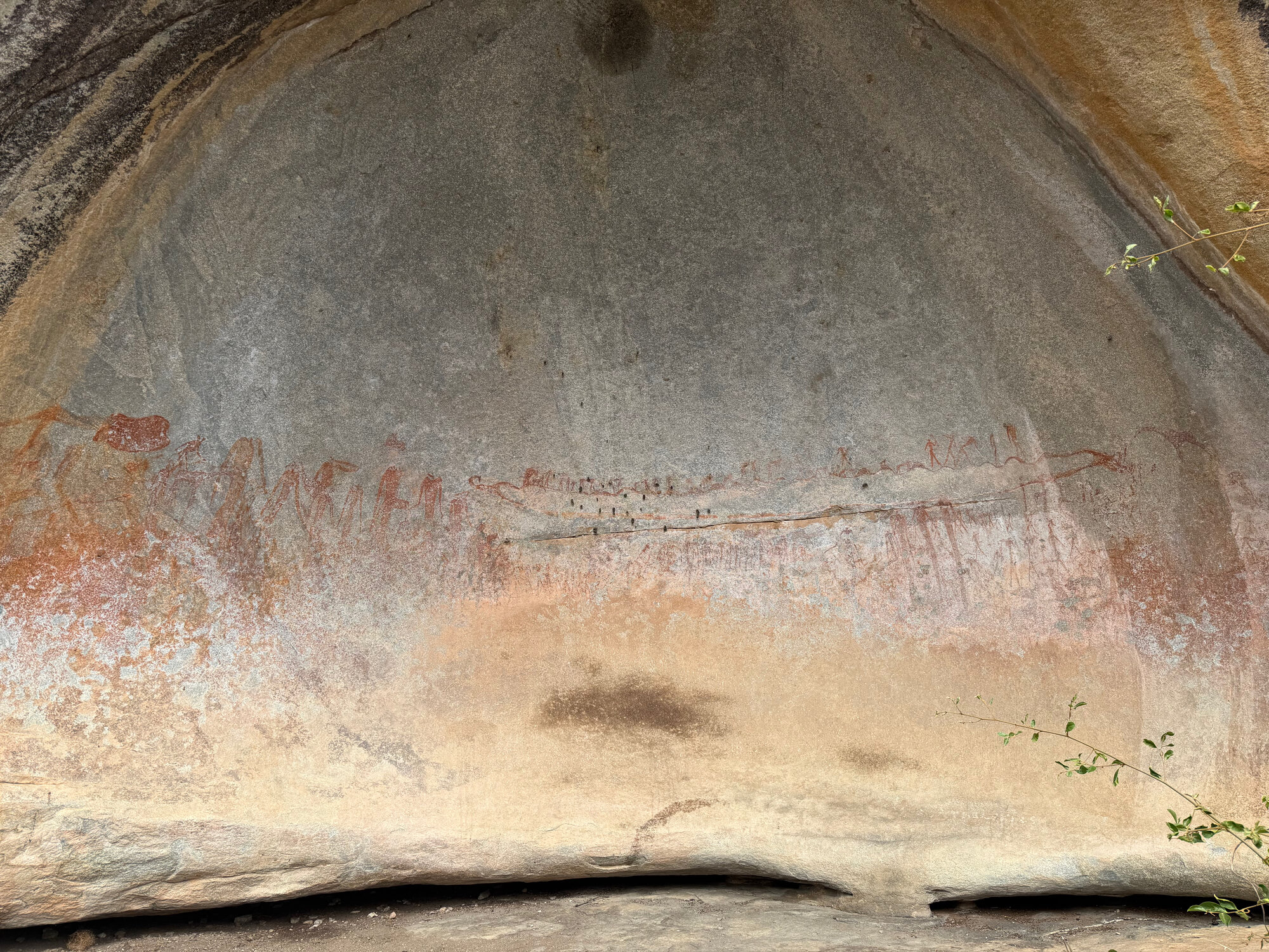 2028 D2 005 (Gulubahwe) 2026-7-26_008