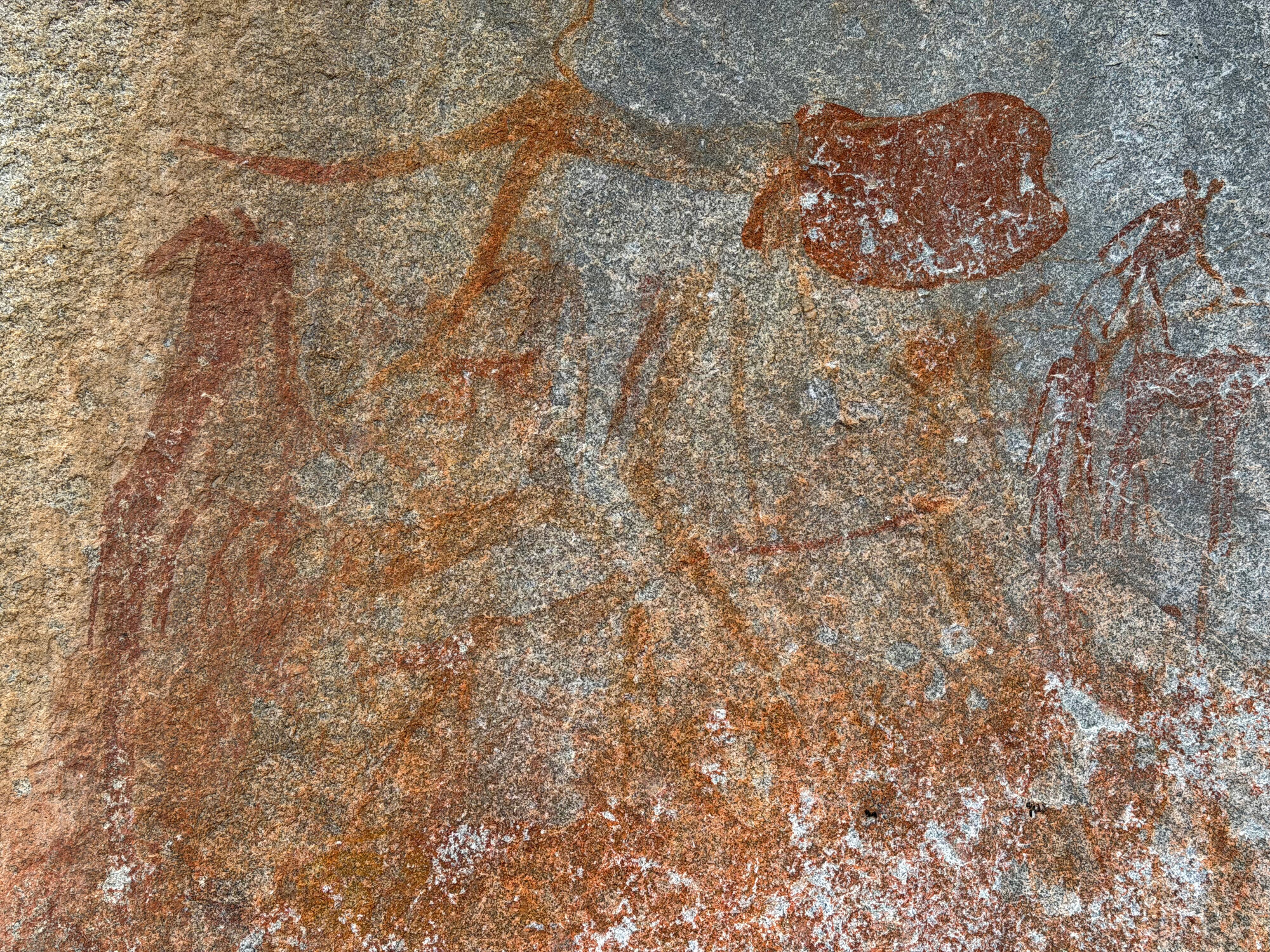 2028 D2 005 (Gulubahwe) 2026-7-26_025