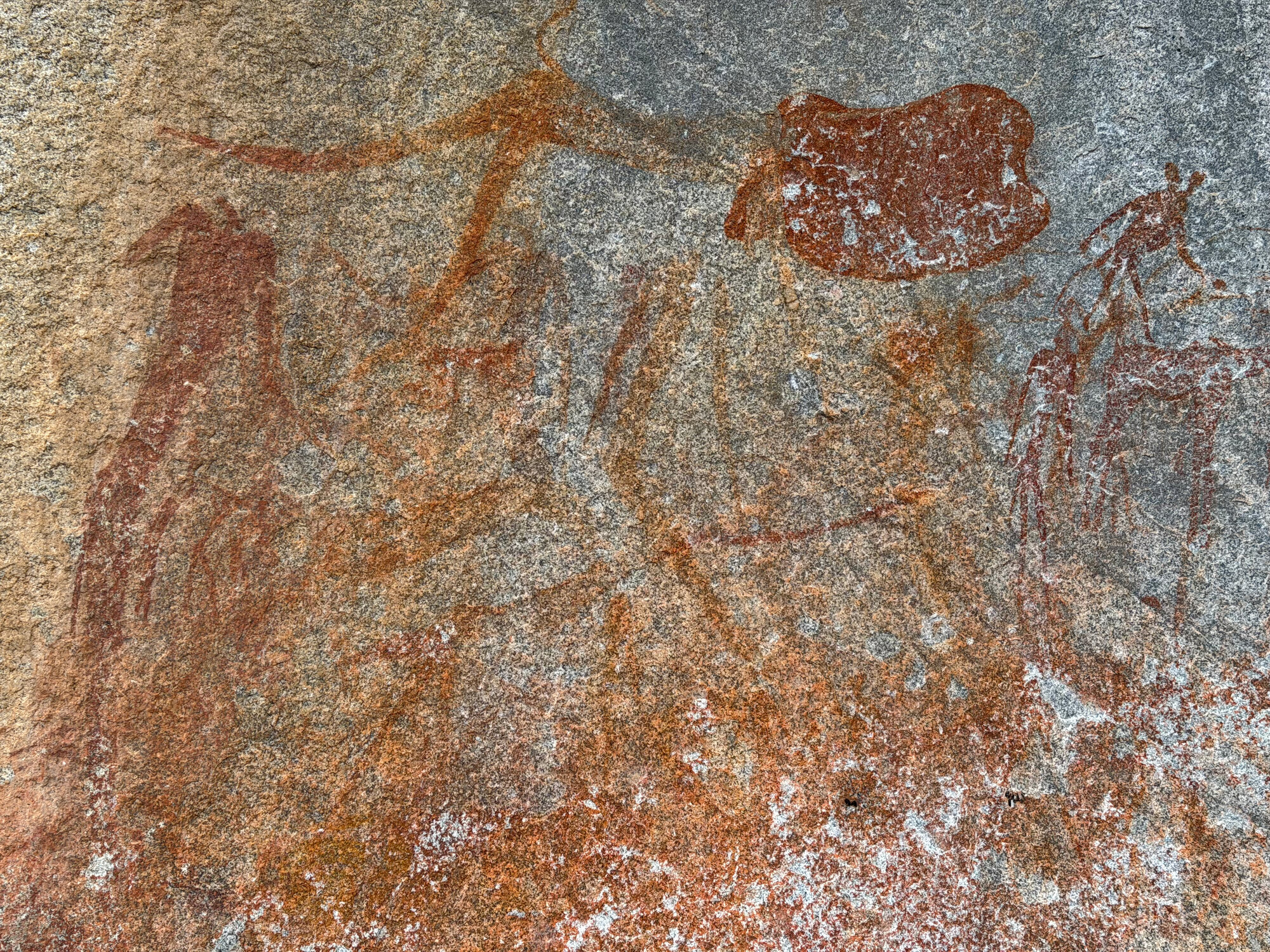 2028 D2 005 (Gulubahwe) 2026-7-26_026